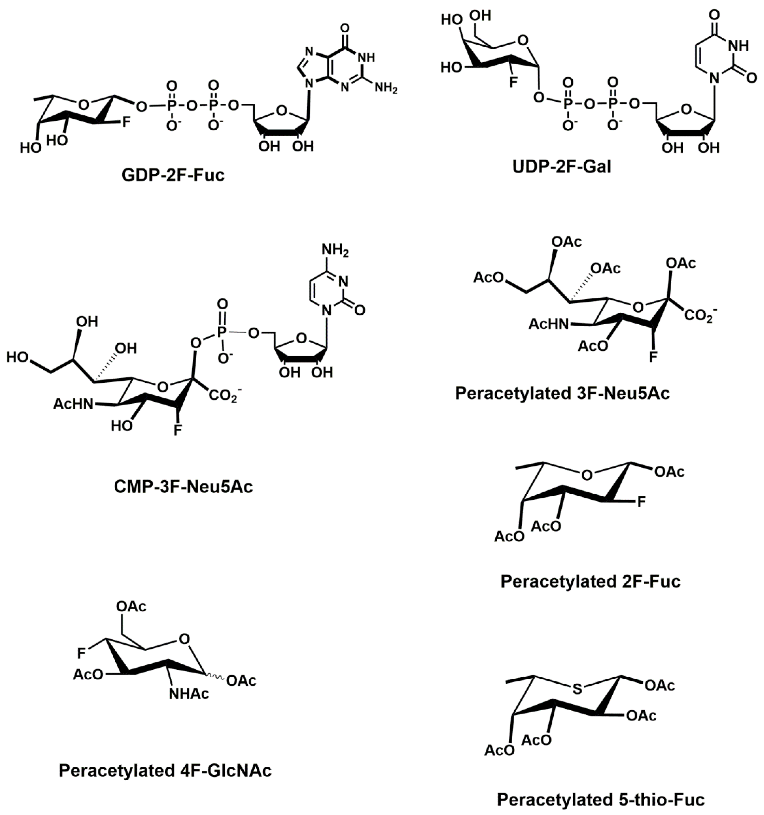 Molecules 25 02835 g017 Molecules 25 02835 g017