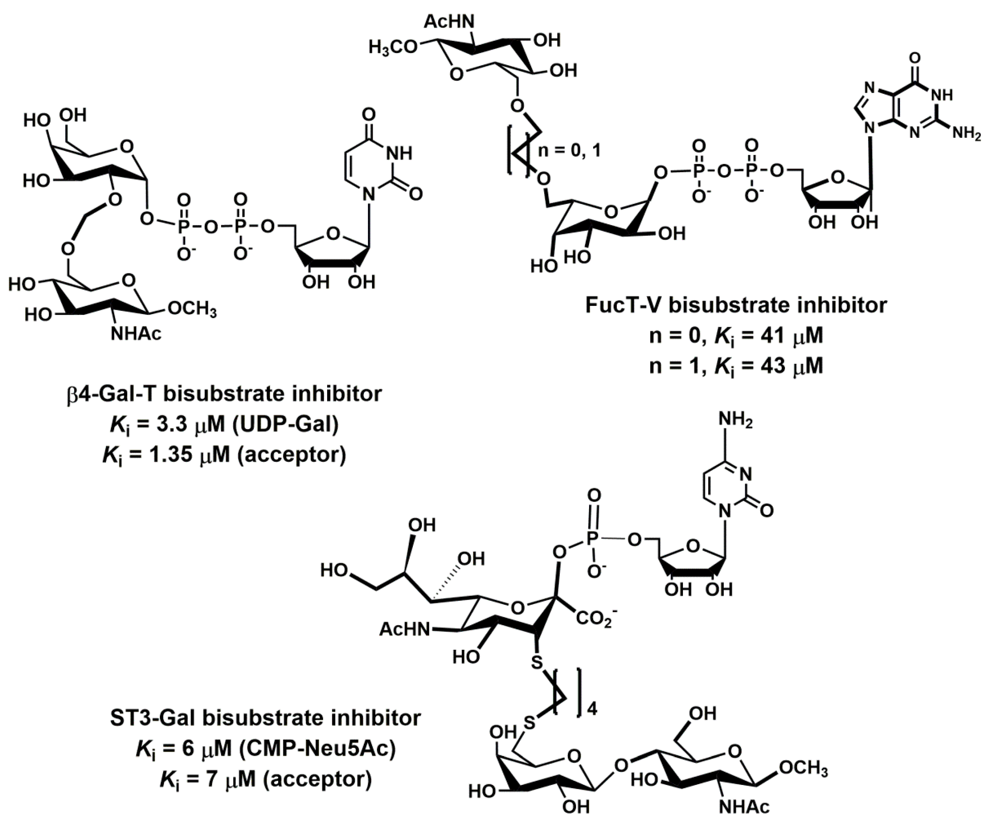 Molecules 25 02835 g019 Molecules 25 02835 g019