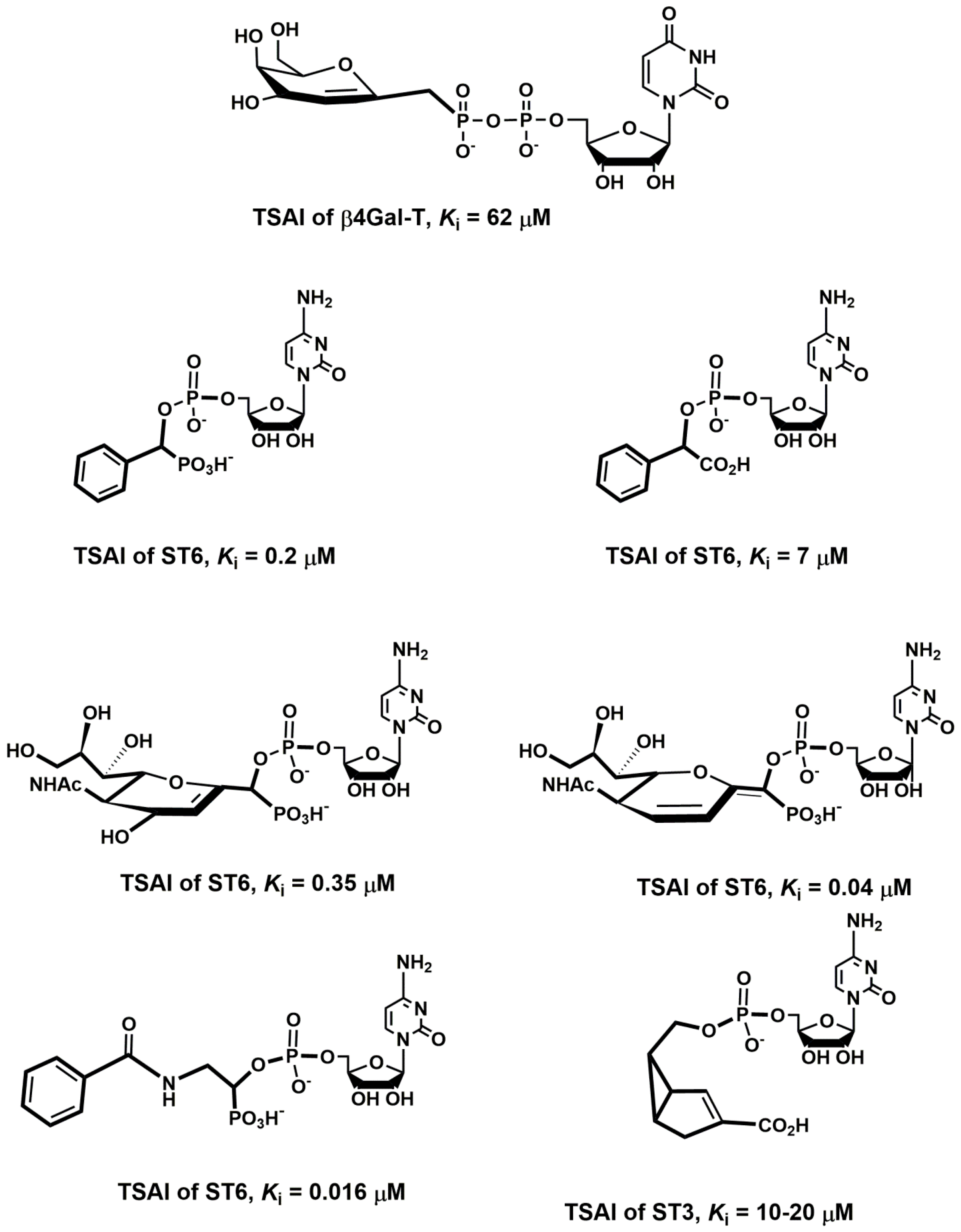 Molecules 25 02835 g021 Molecules 25 02835 g021