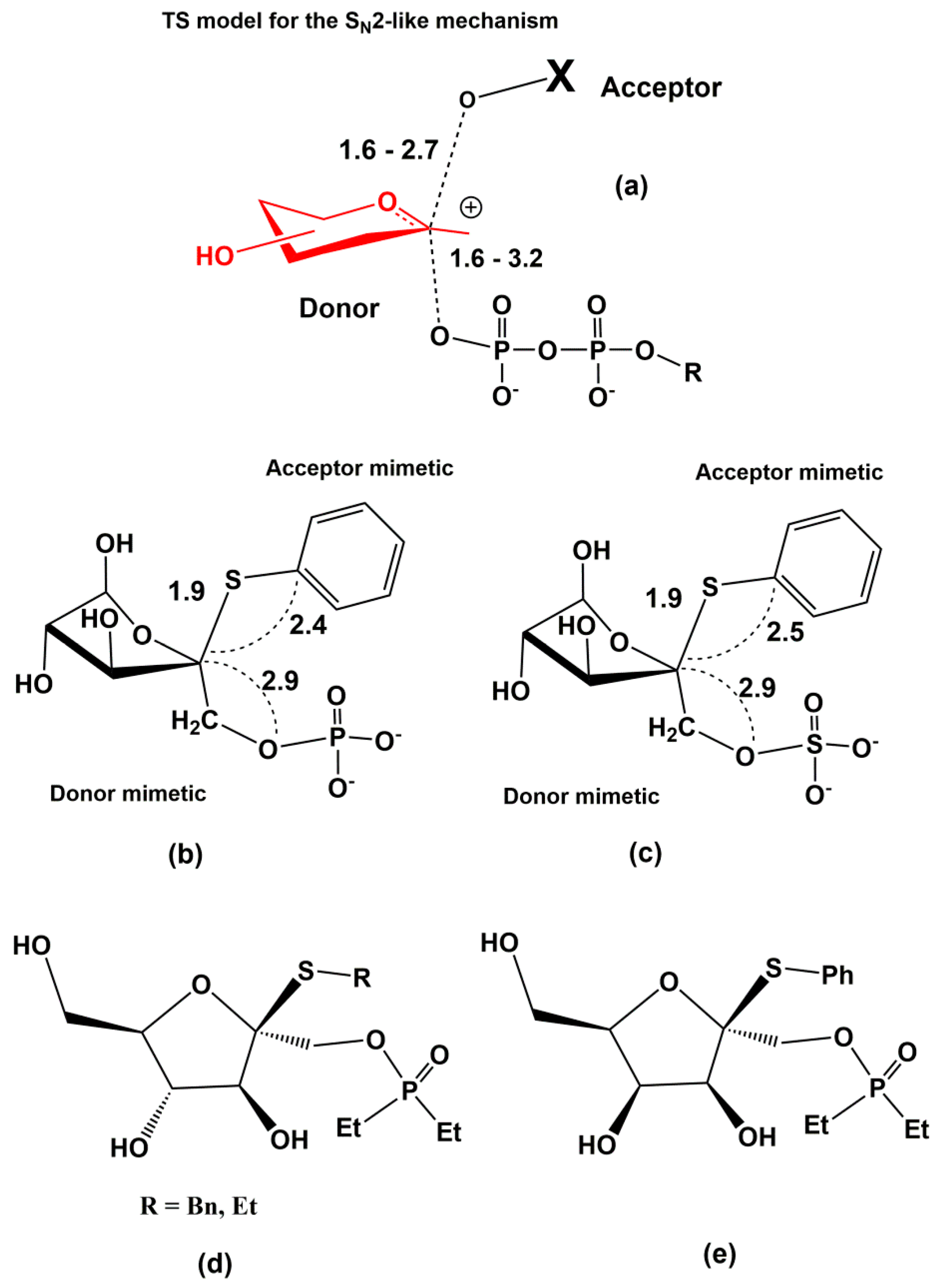 Molecules 25 02835 g023 Molecules 25 02835 g023