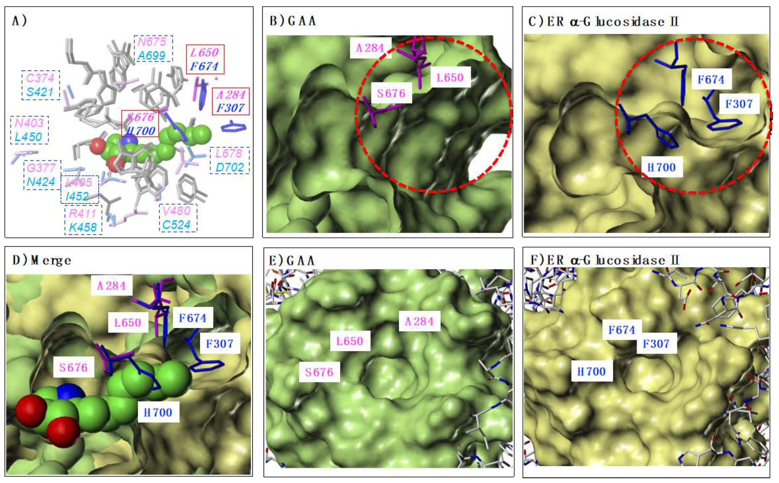 Molecules 25 02843 g007