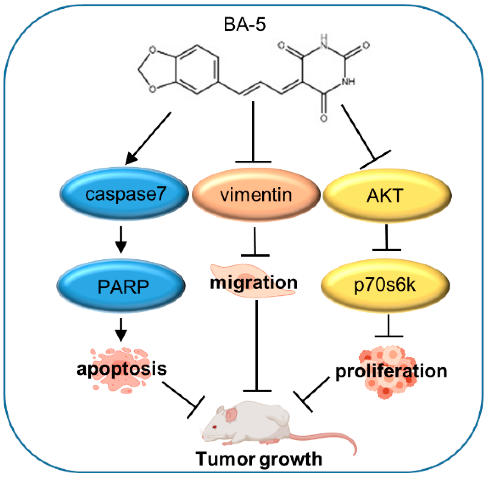 Molecules 25 02856 g009