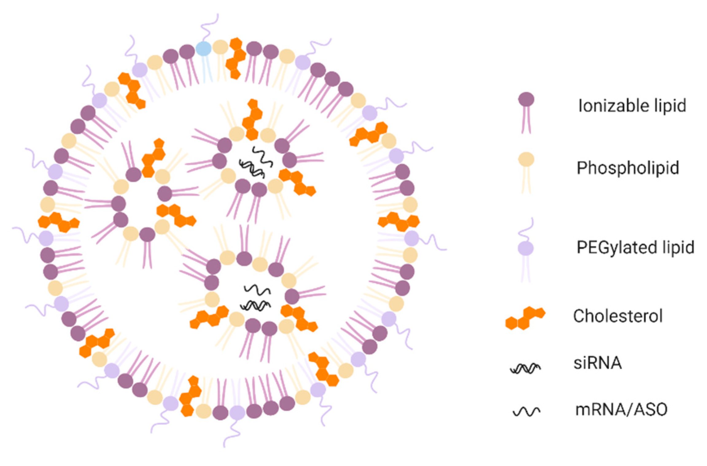Molecules 25 02866 g002 Molecules 25 02866 g002