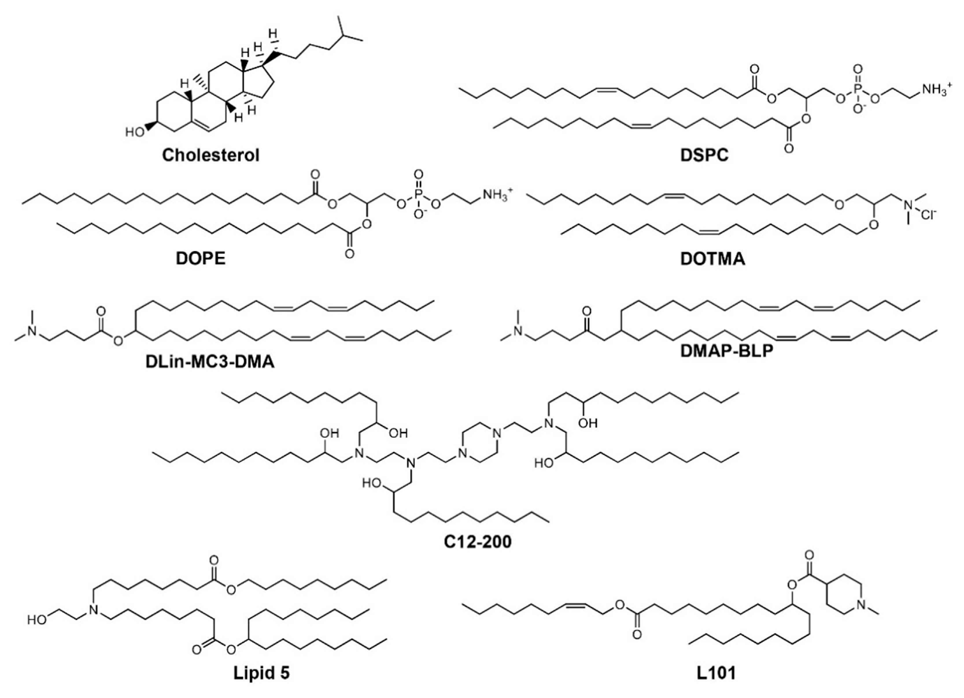 Molecules 25 02866 g003 Molecules 25 02866 g003