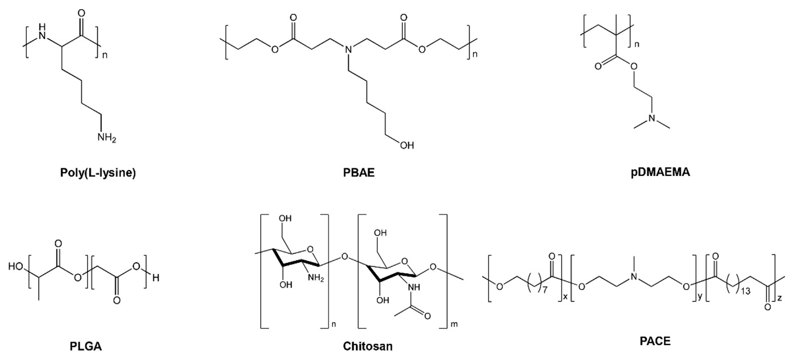 Molecules 25 02866 g005 Molecules 25 02866 g005