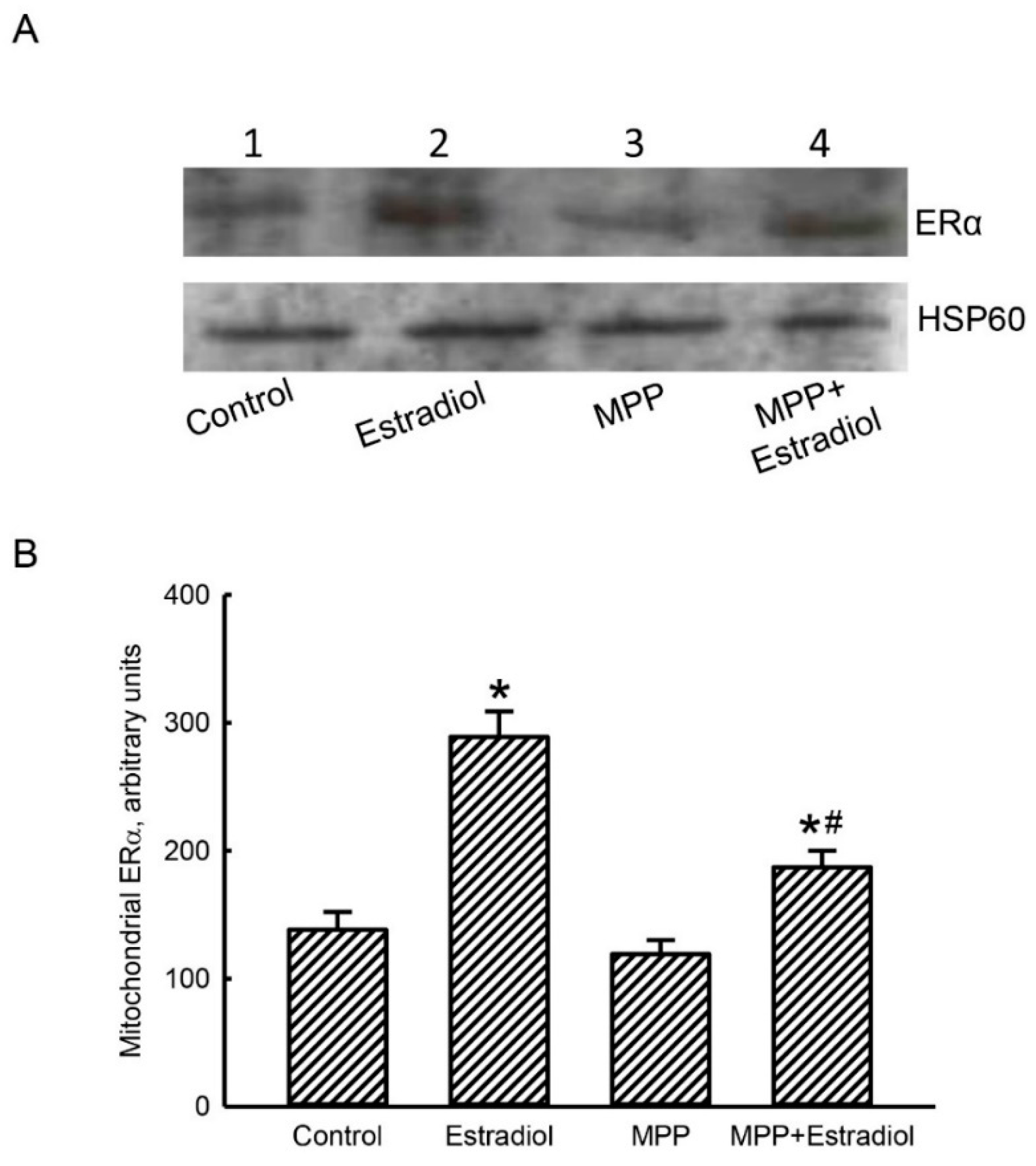 Molecules 25 02876 g002