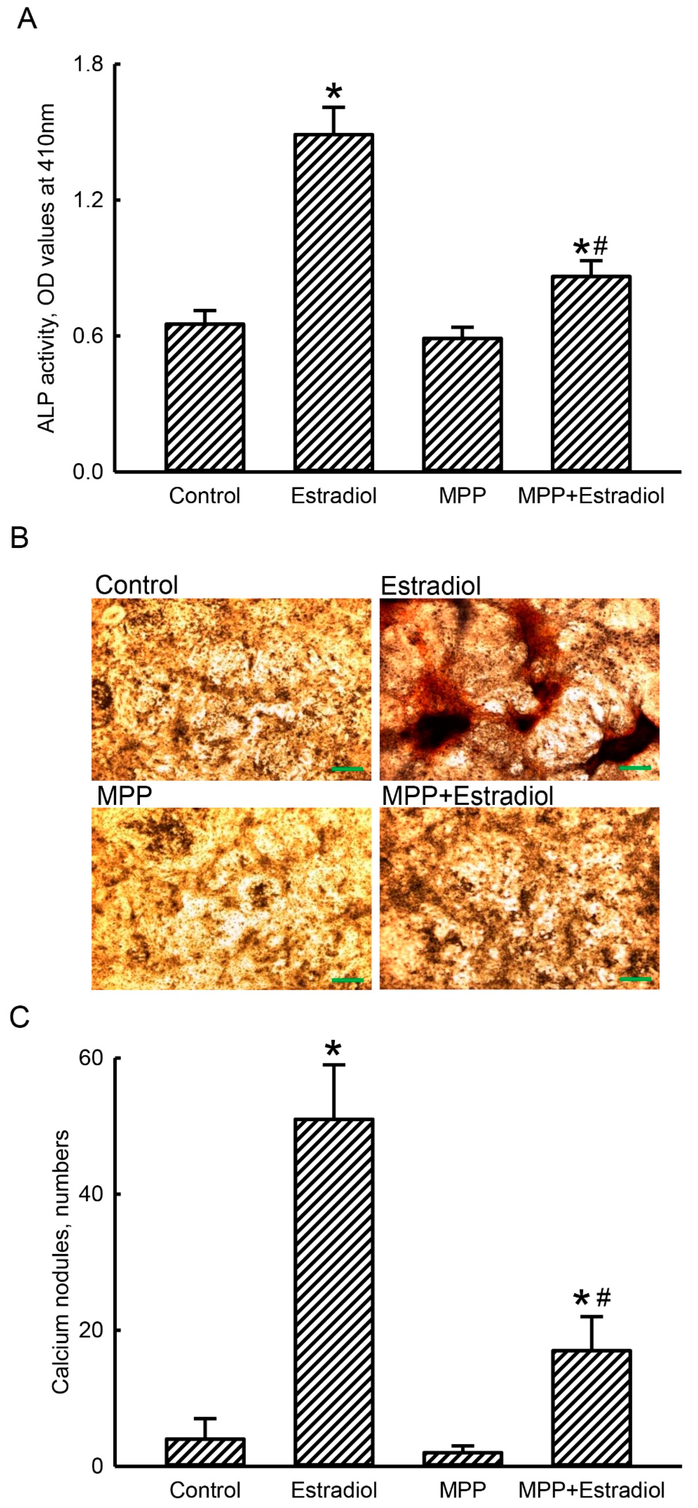 Molecules 25 02876 g006