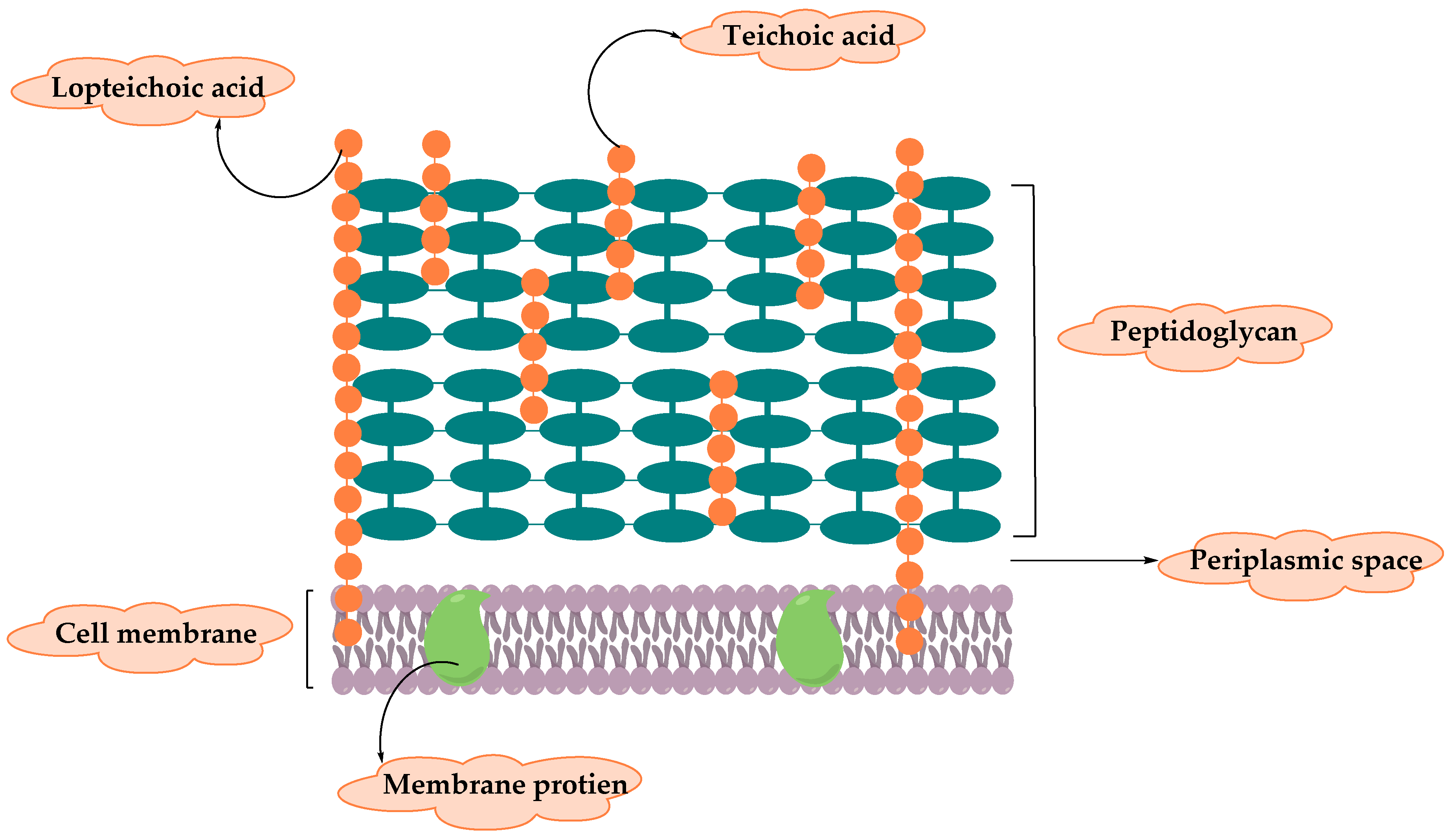 Molecules 25 02888 g001