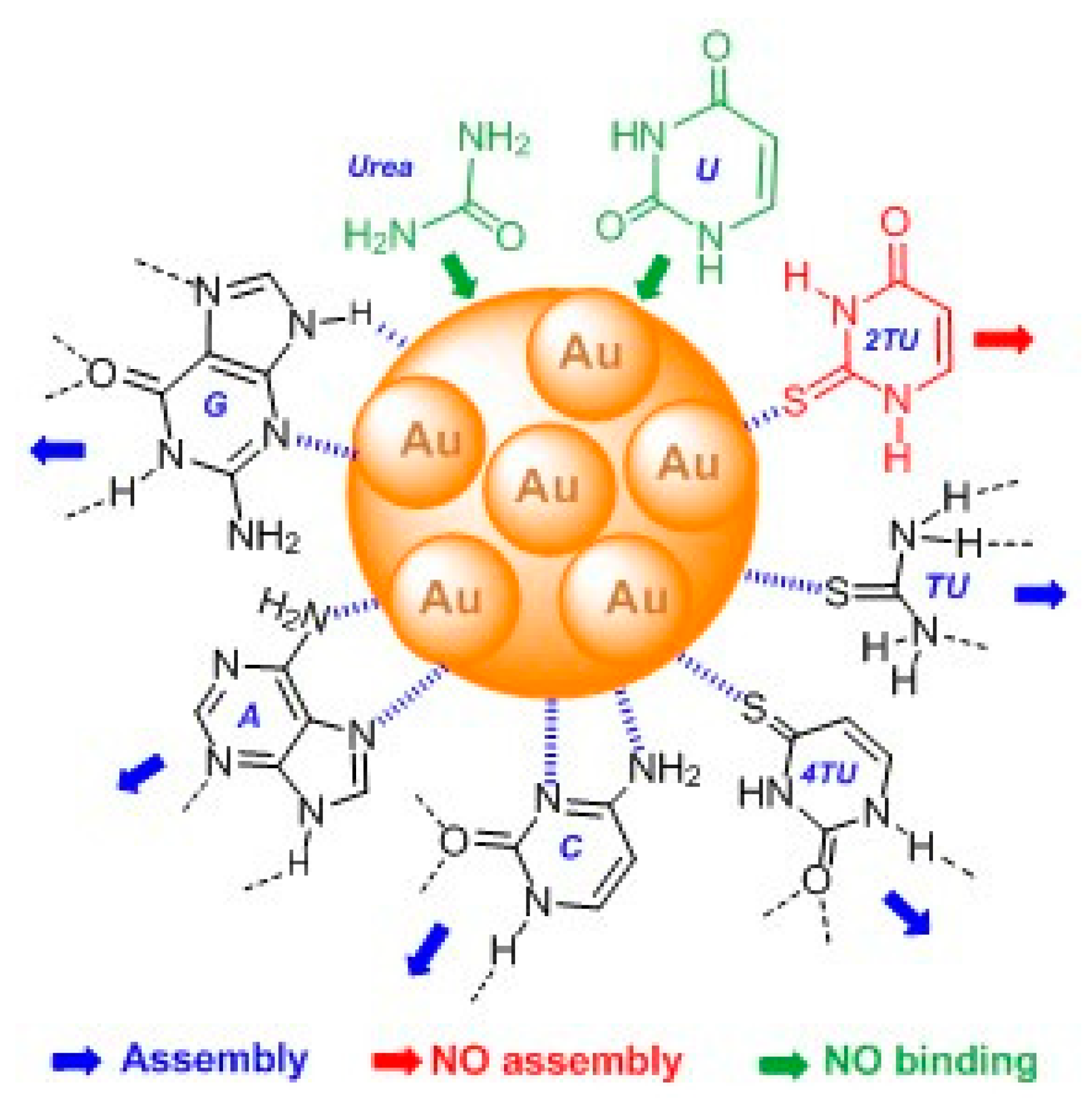Molecules 25 02890 sch003