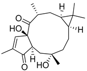 Molecules 25 02894 i010