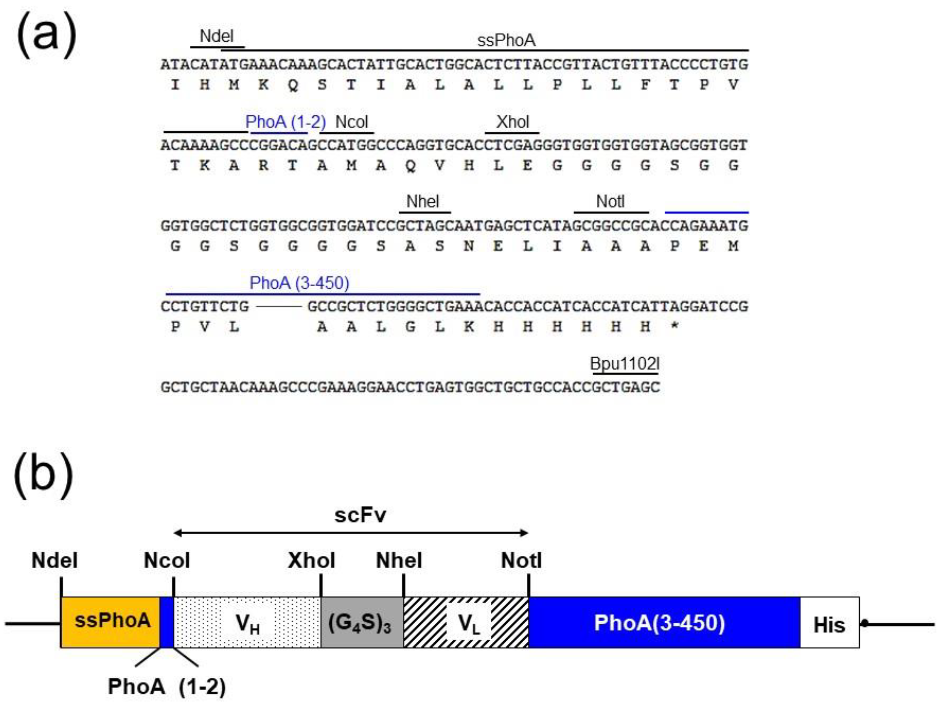 Molecules 25 02905 g002