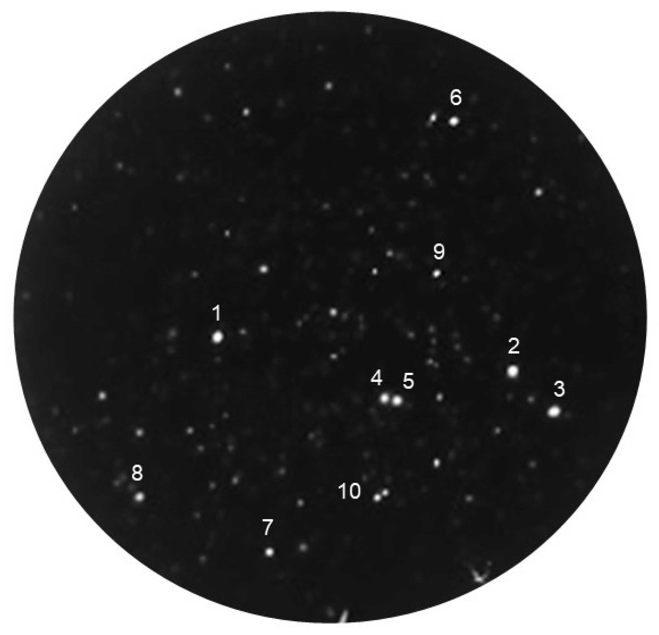 Molecules 25 02905 g003