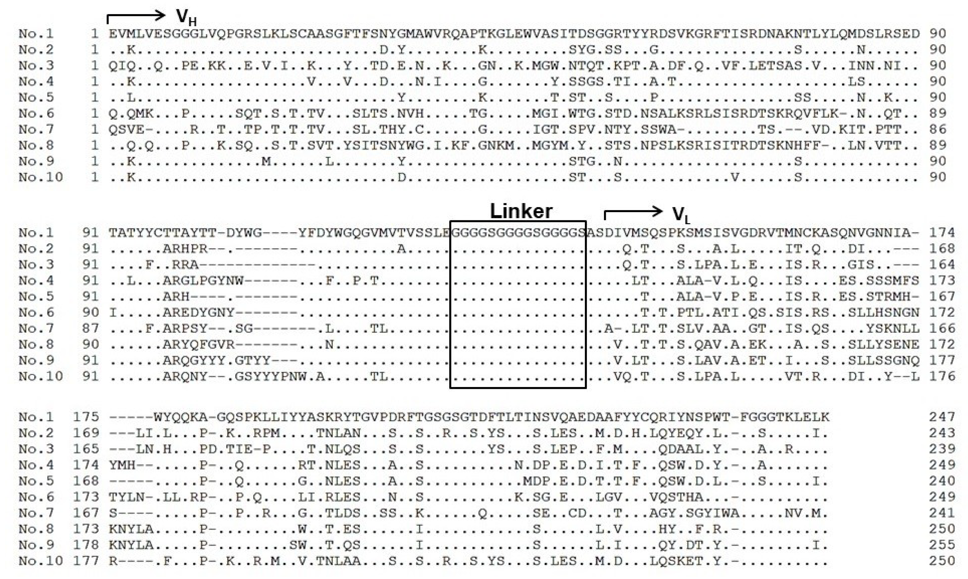 Molecules 25 02905 g005