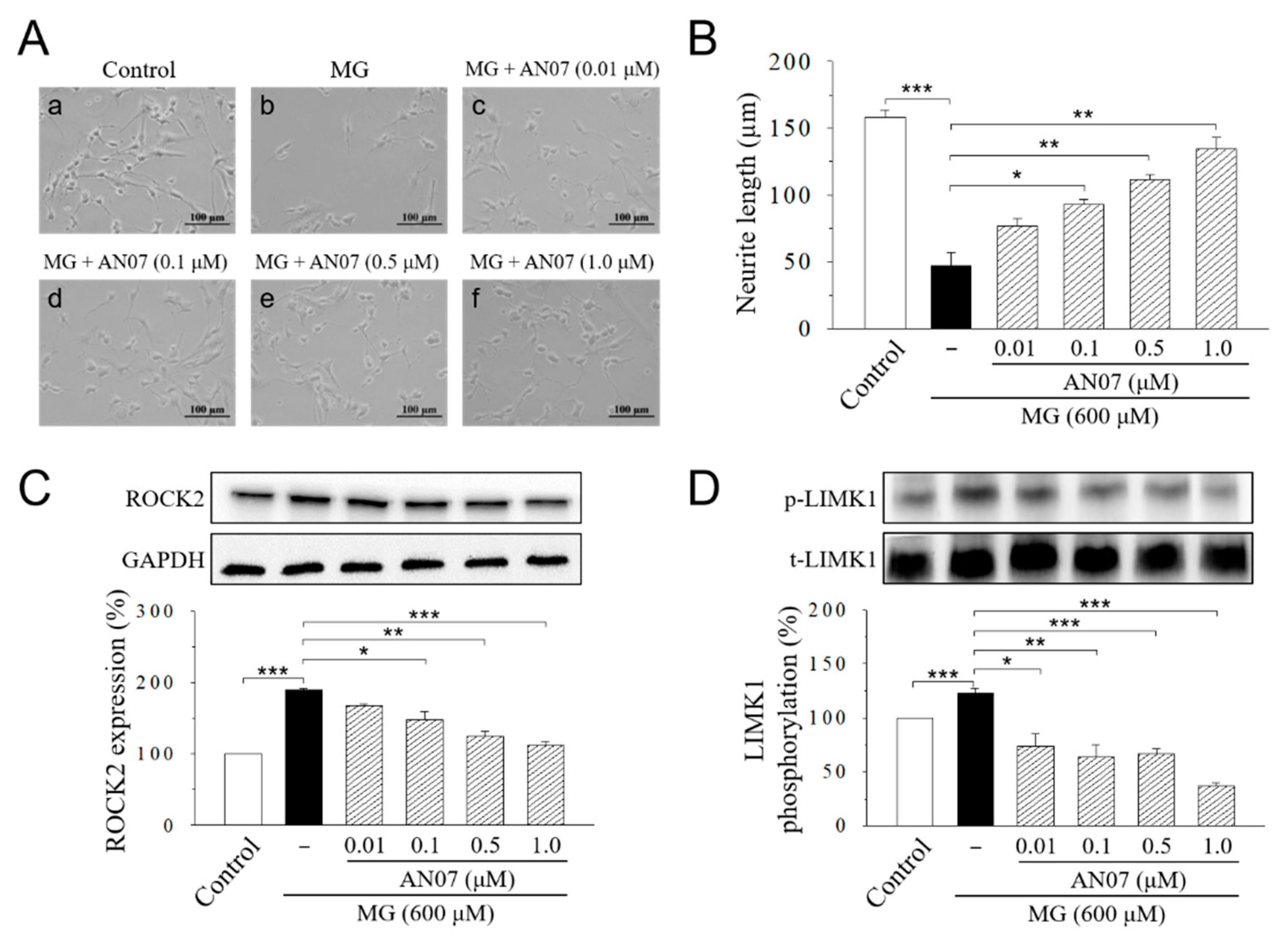 Molecules 25 02907 g006