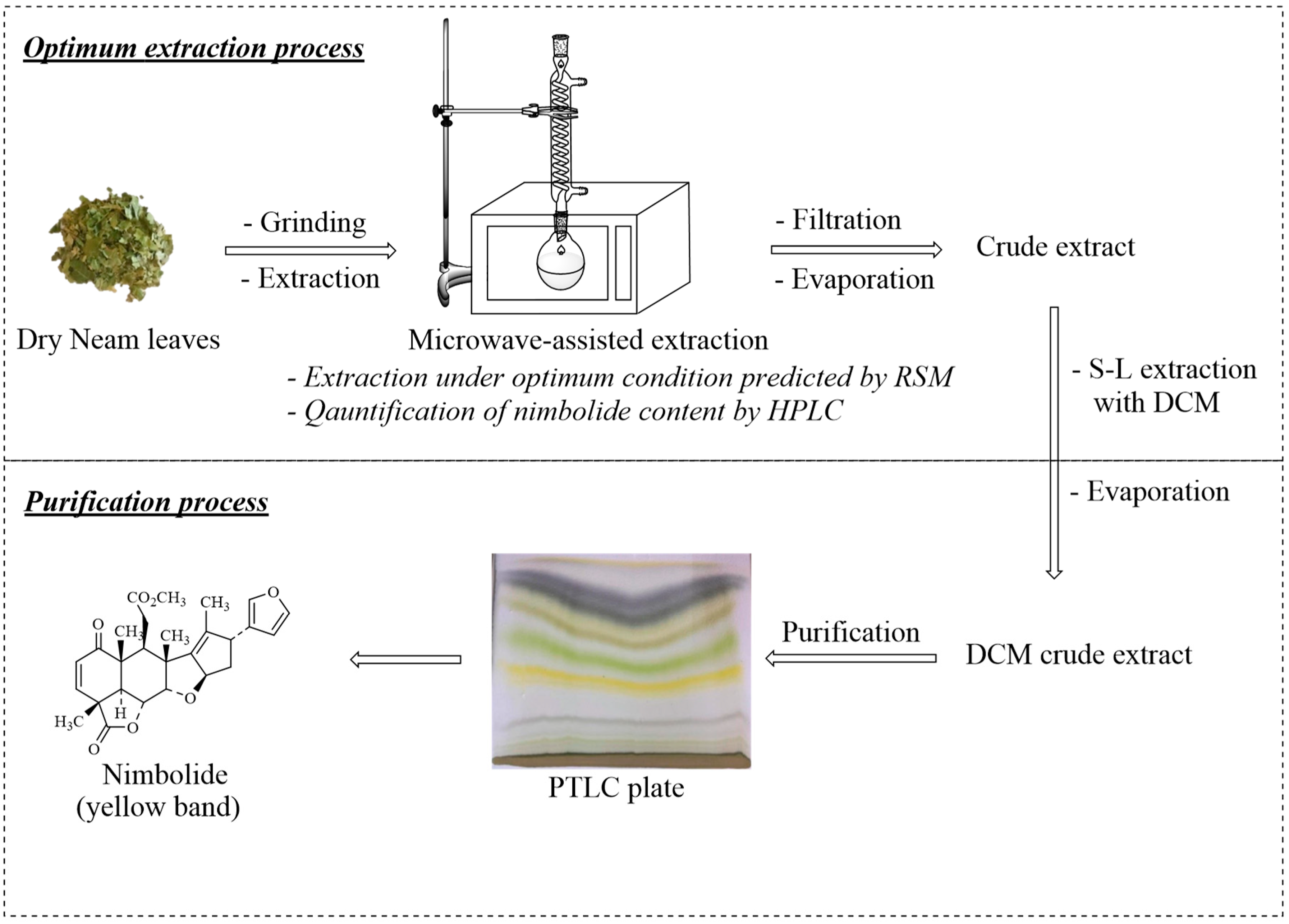 Molecules 25 02913 g004