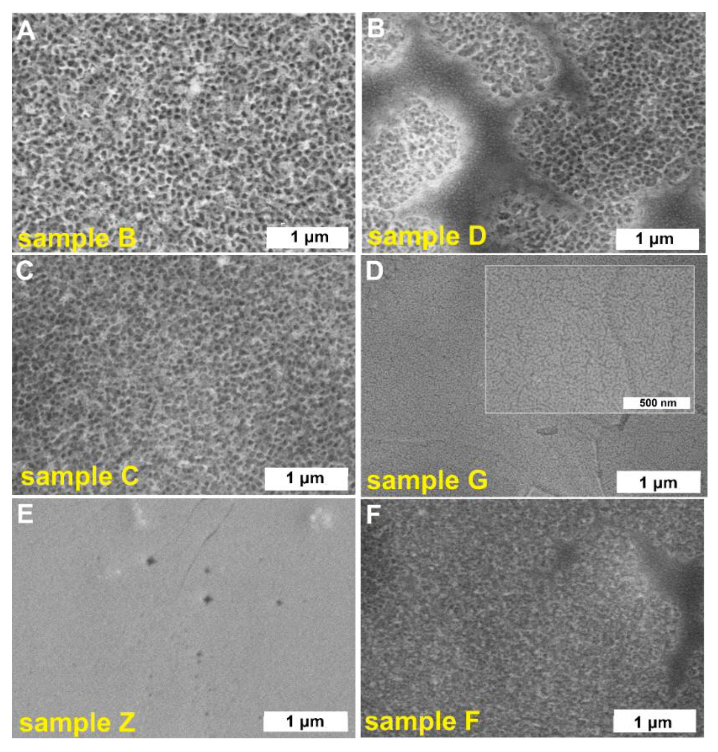 Molecules 25 02916 g001
