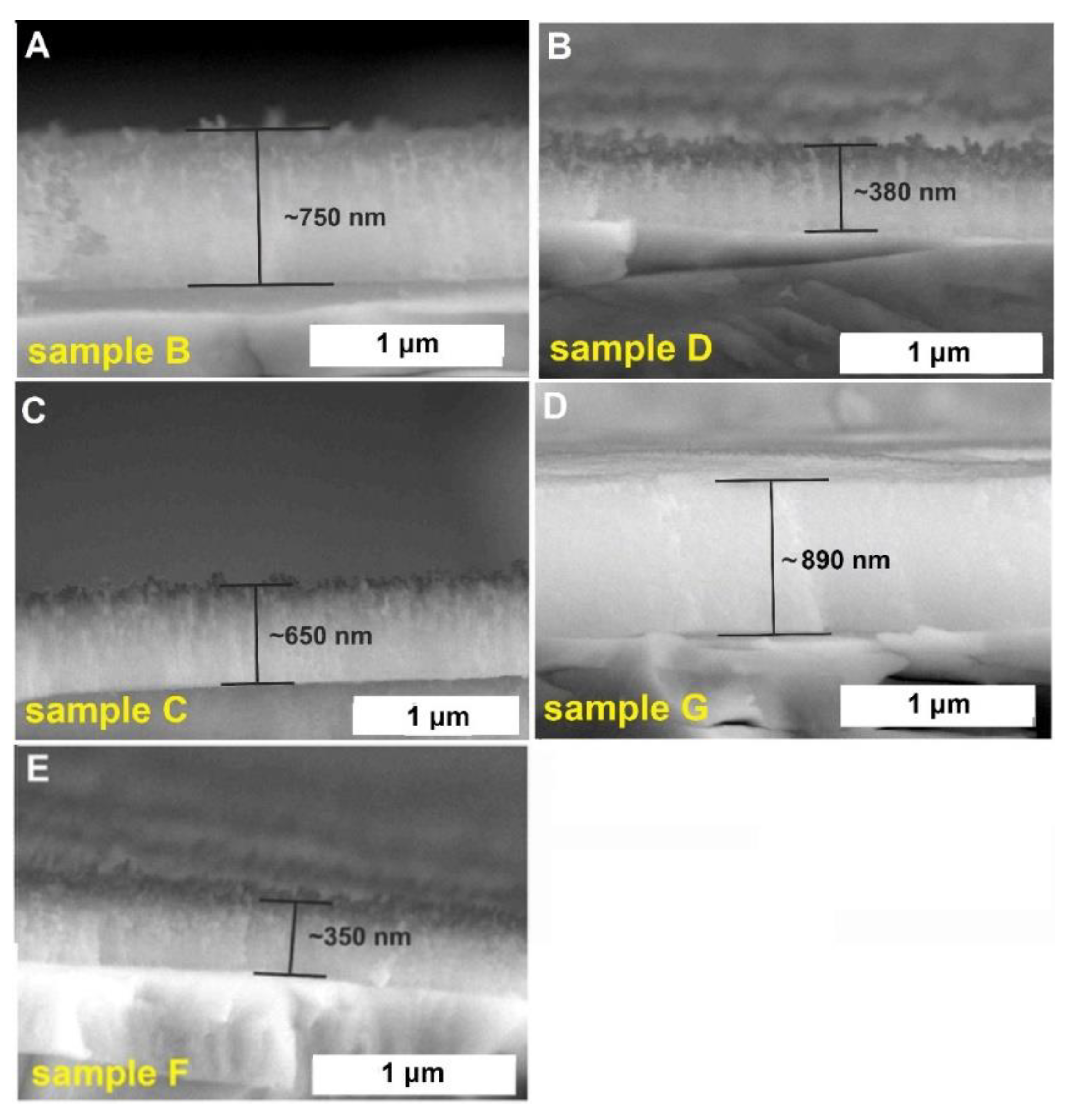 Molecules 25 02916 g002