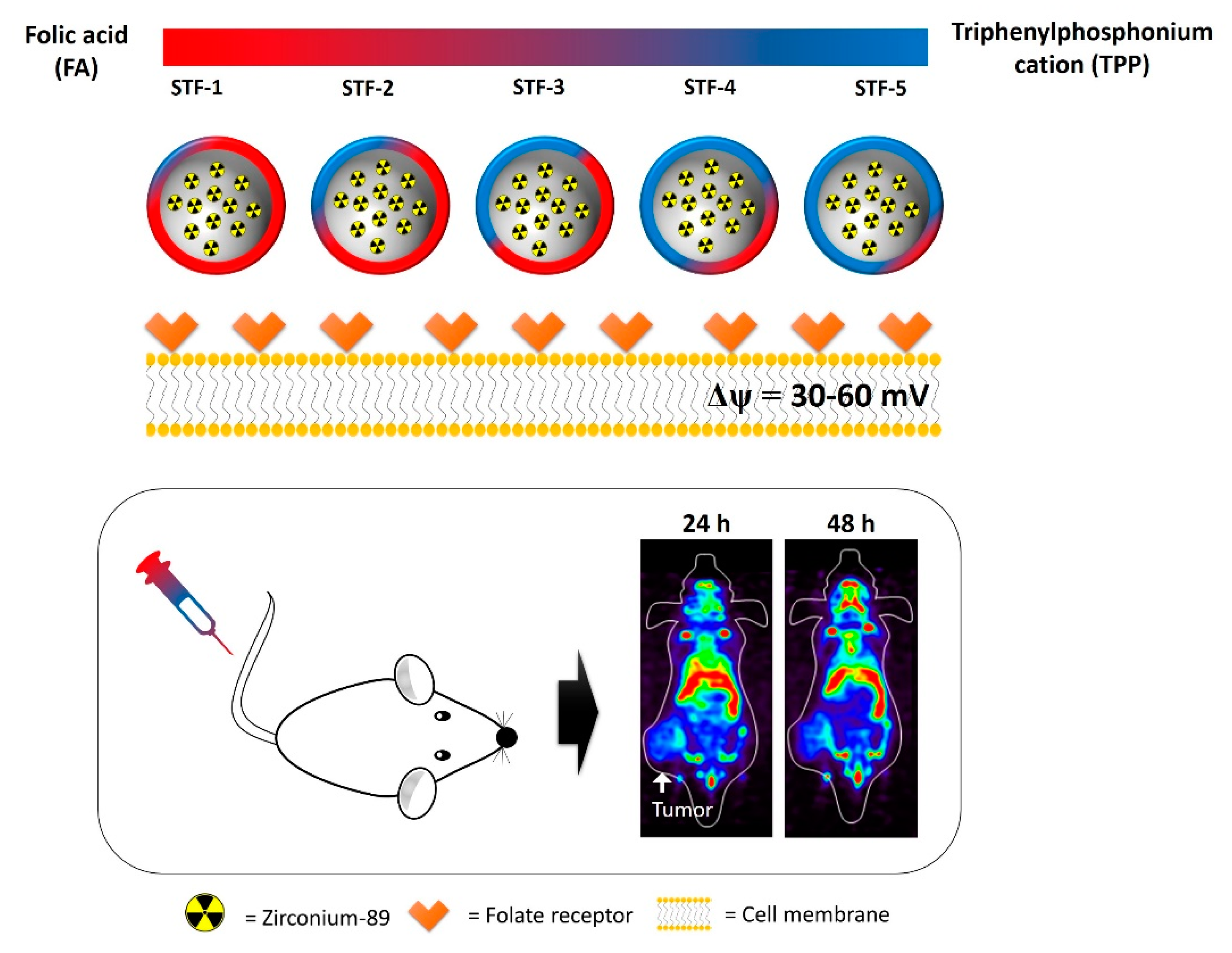Molecules 25 02922 sch001