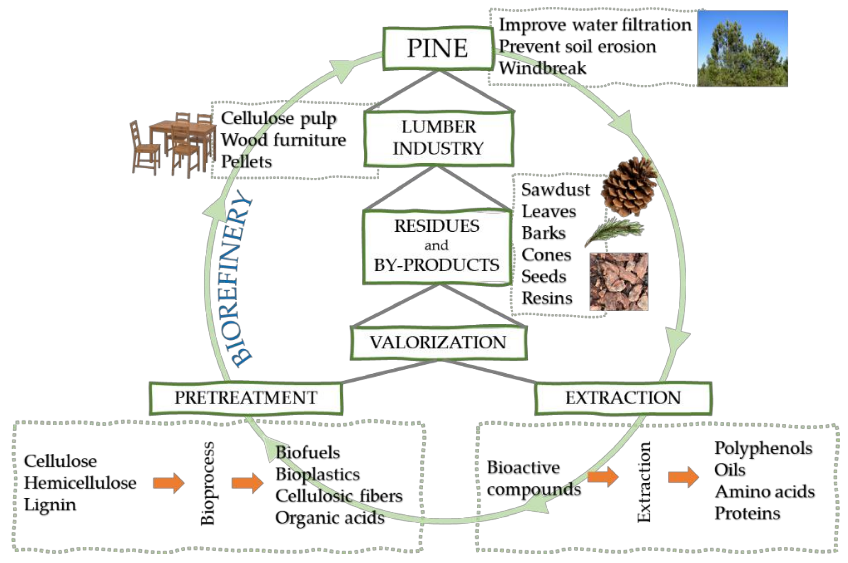 Molecules 25 02931 g001 Molecules 25 02931 g001