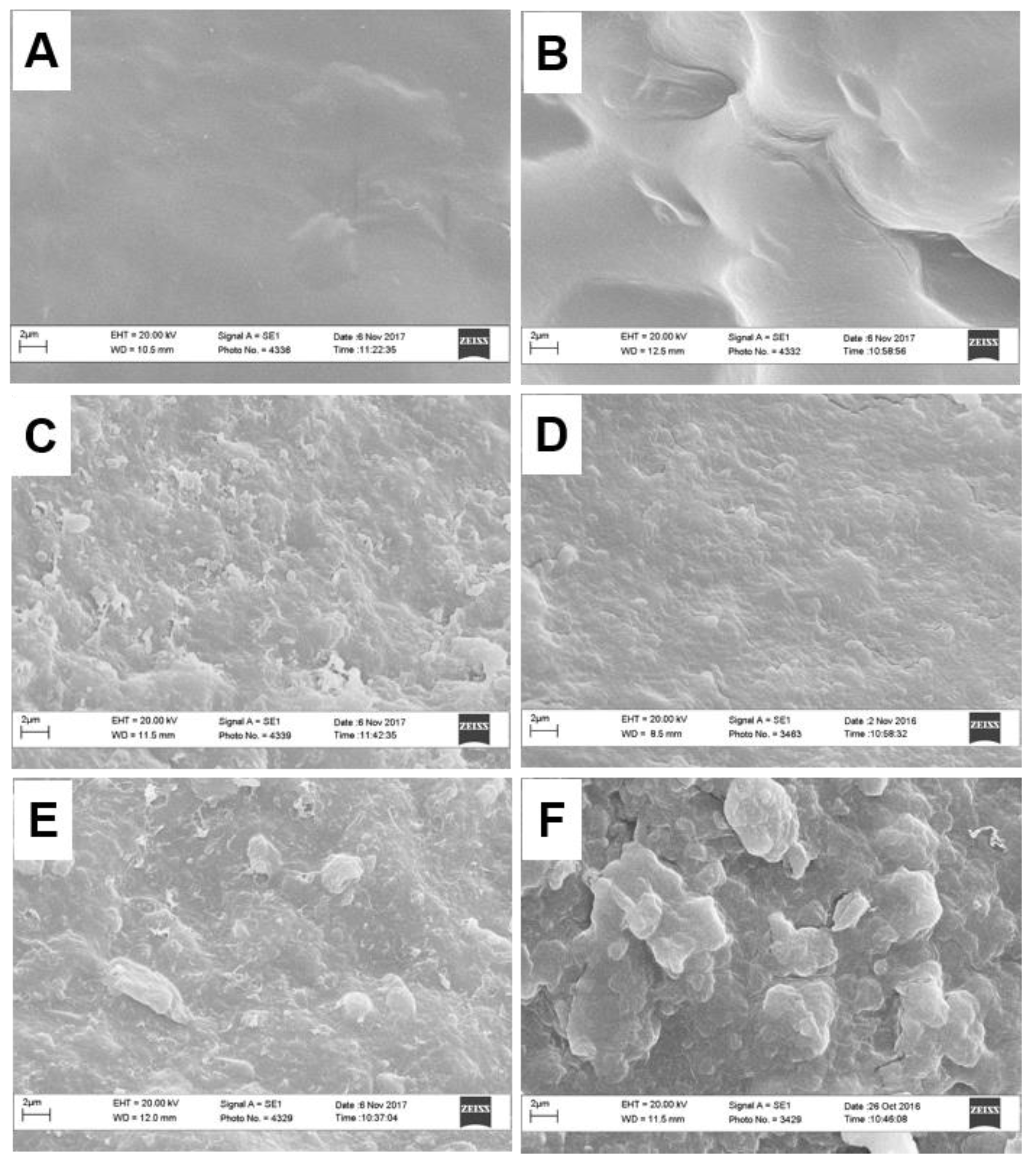 Molecules 25 02936 g002