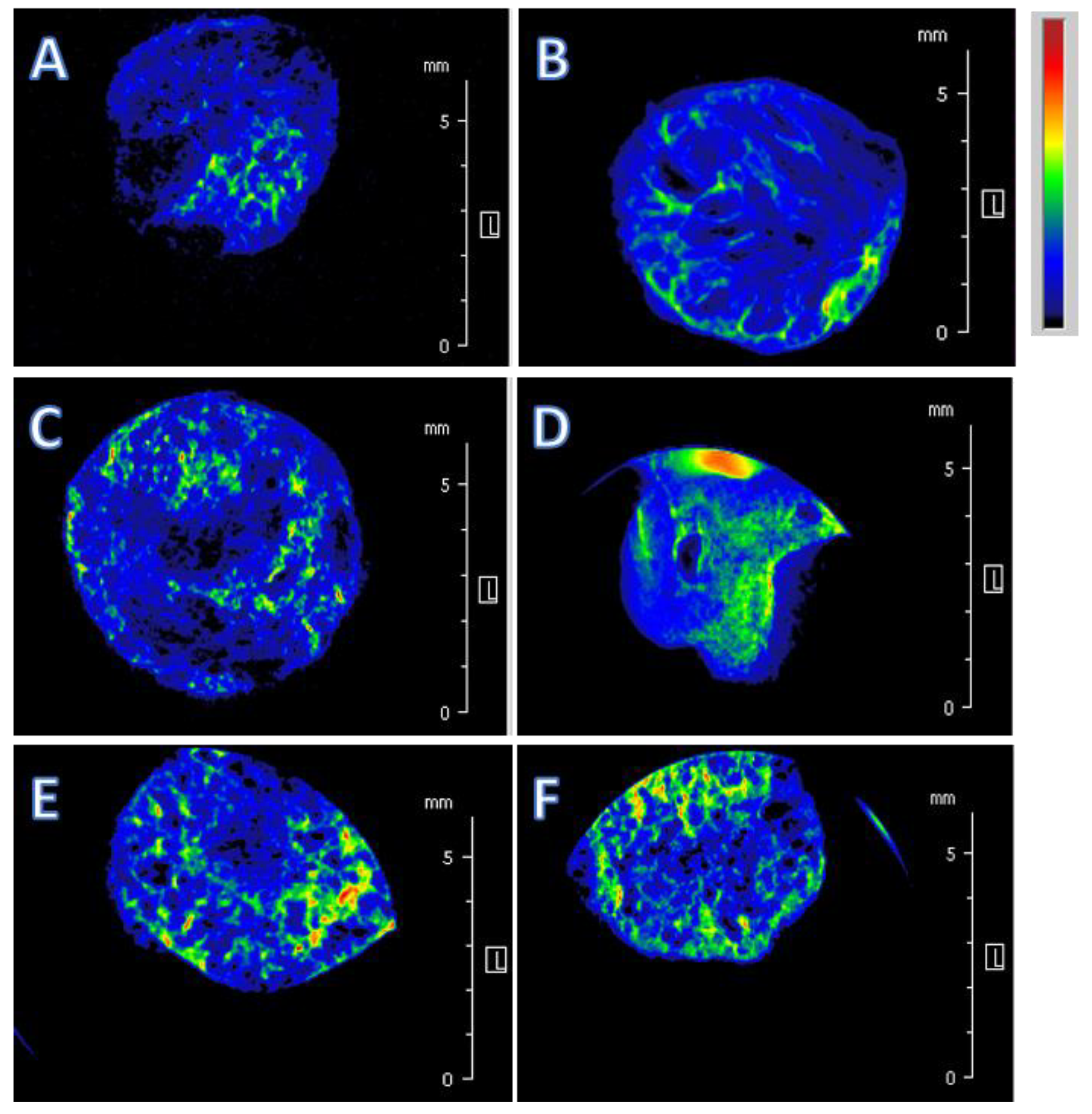 Molecules 25 02936 g003