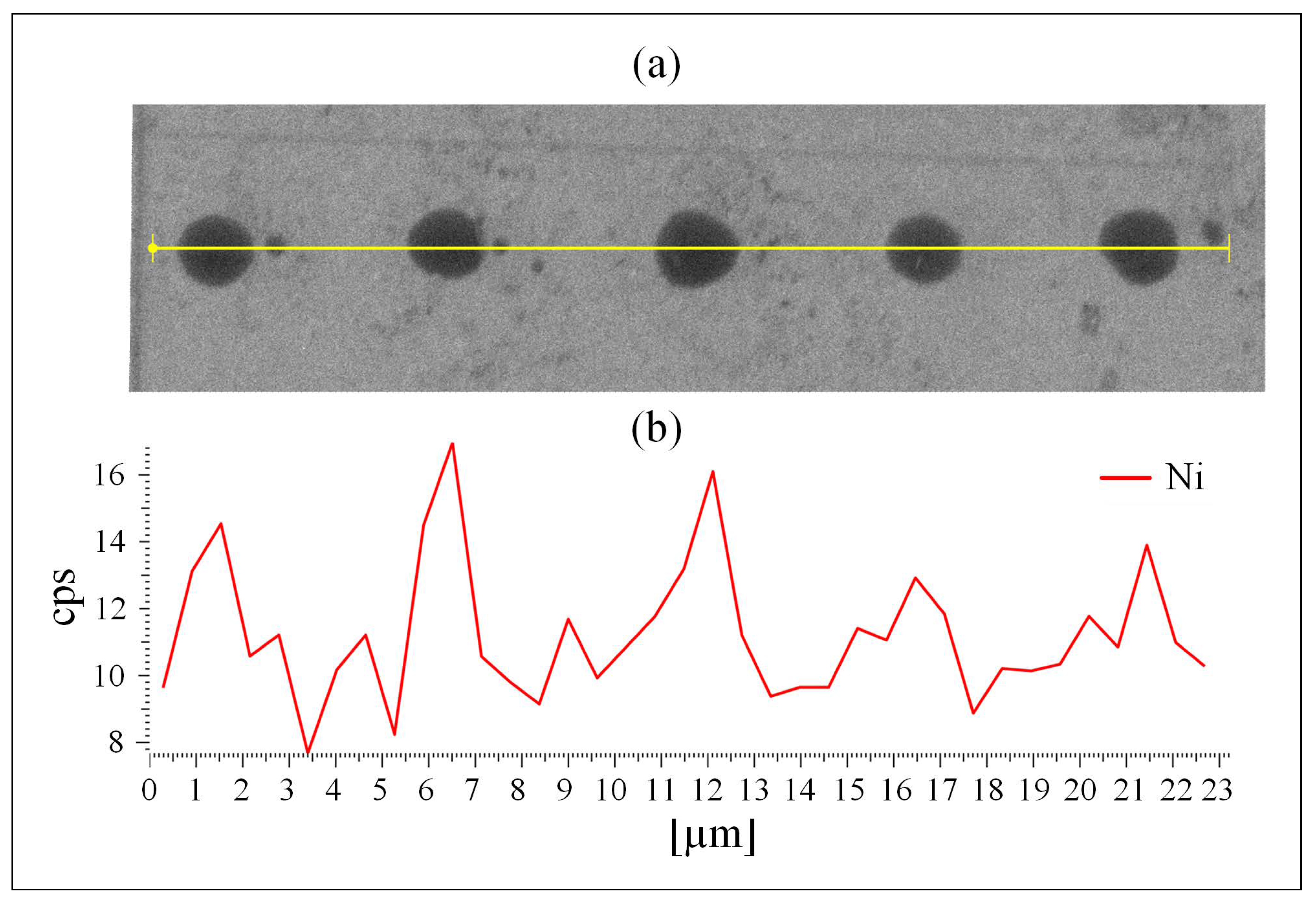 Molecules 25 02937 g002