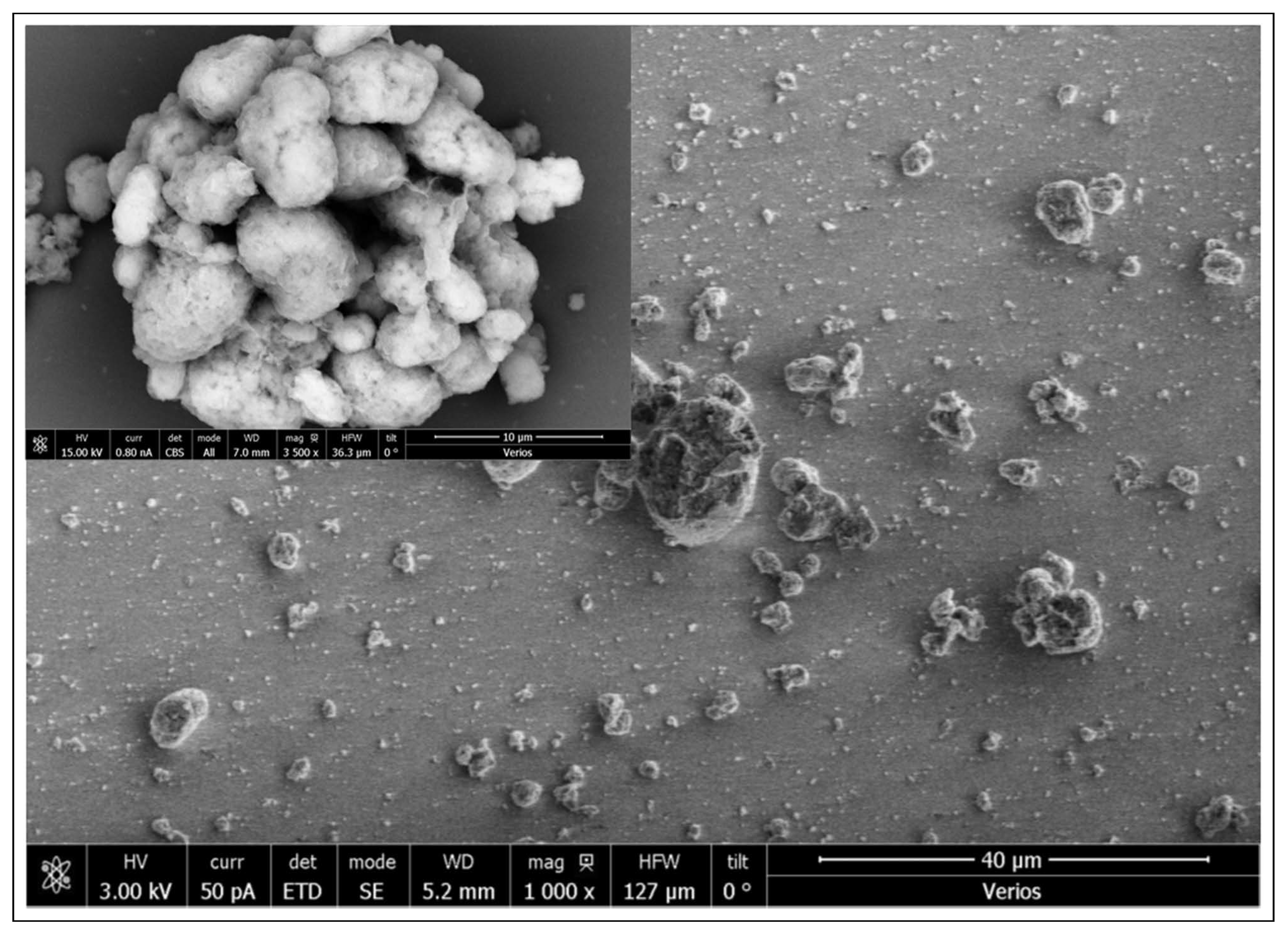 Molecules 25 02937 g005
