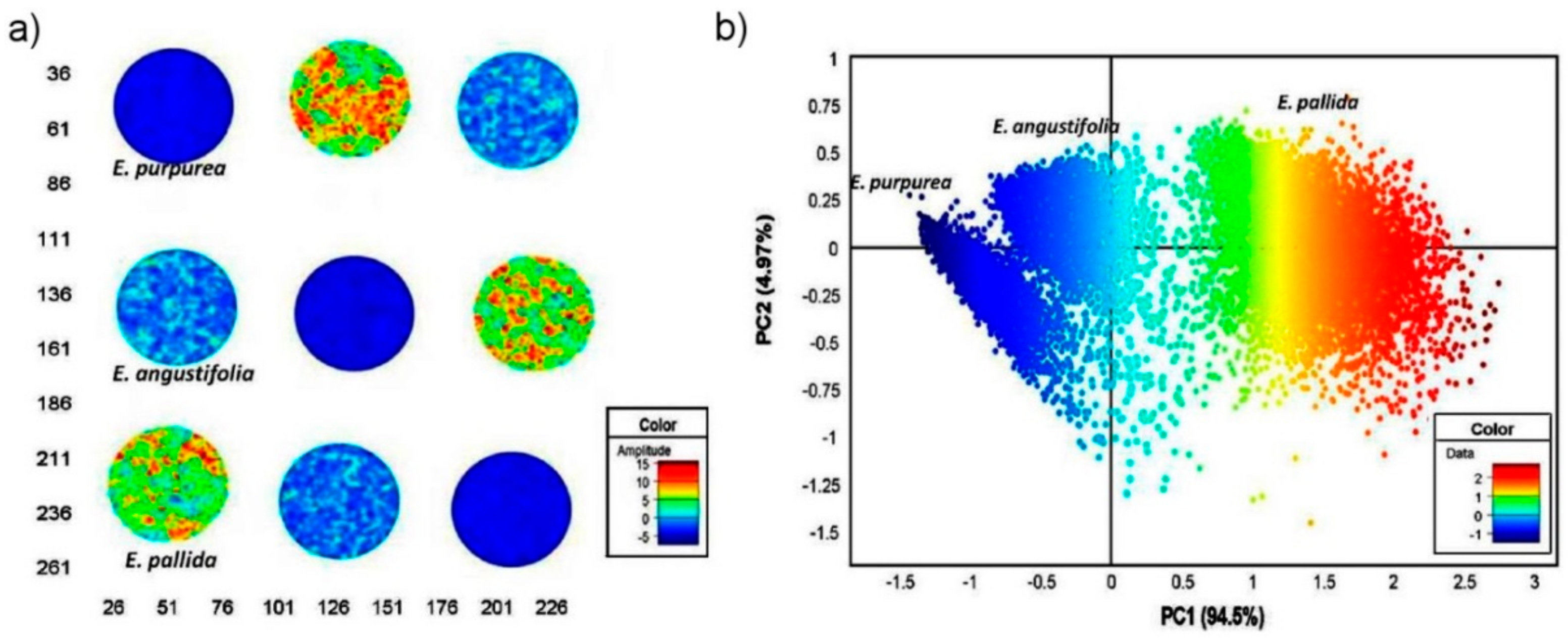 Molecules 25 02948 g009