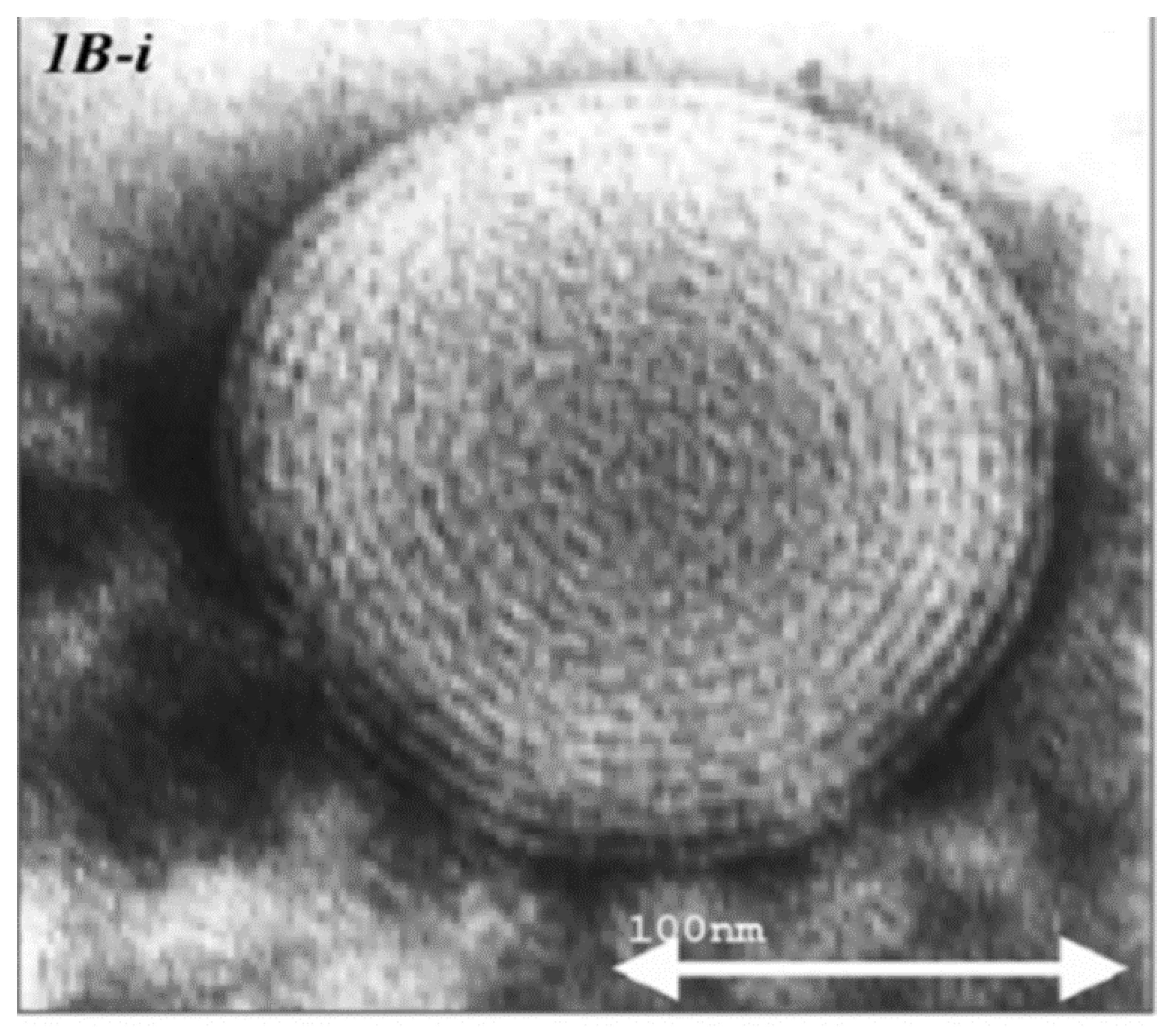 Molecules 25 02959 g001 Molecules 25 02959 g001