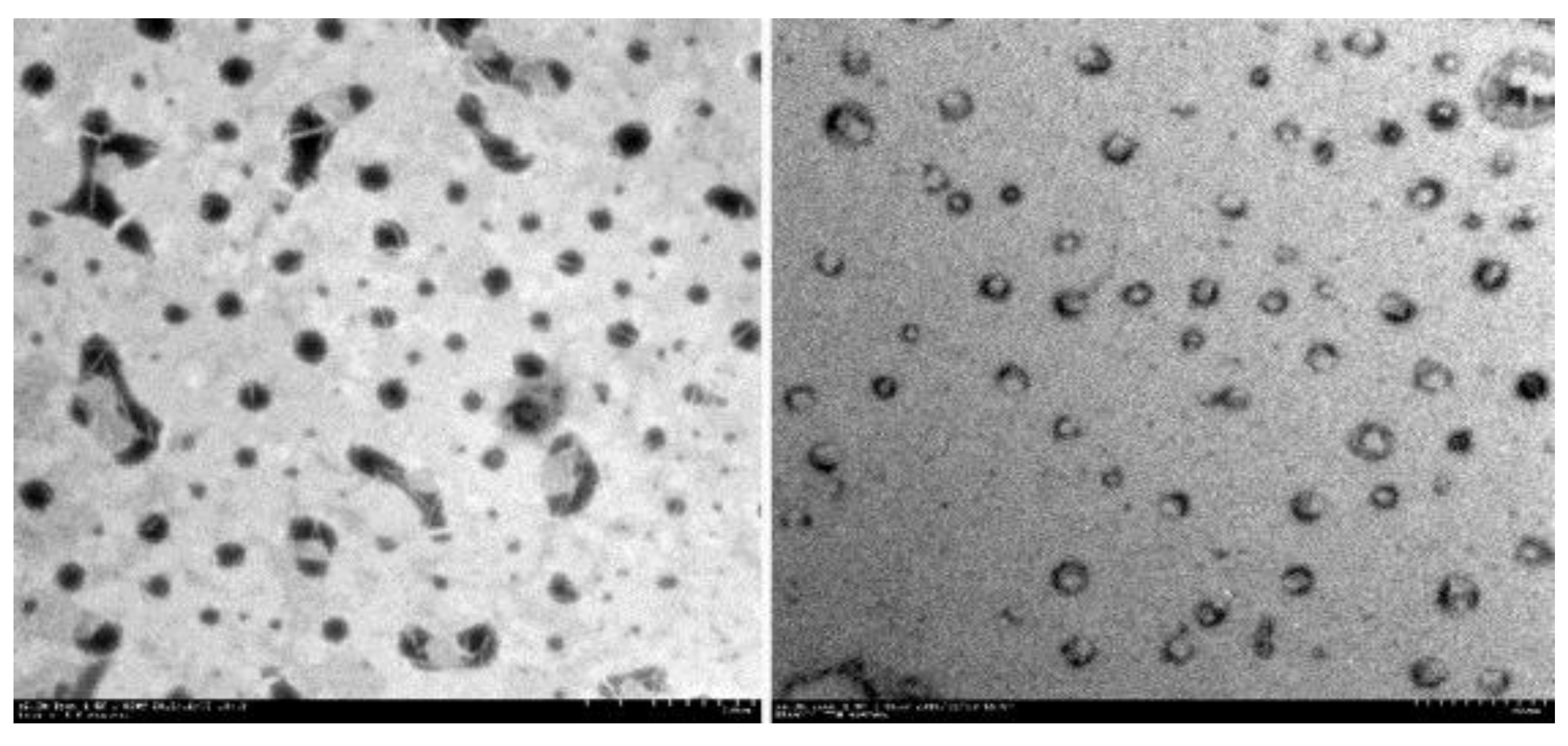 Molecules 25 02959 g002 Molecules 25 02959 g002