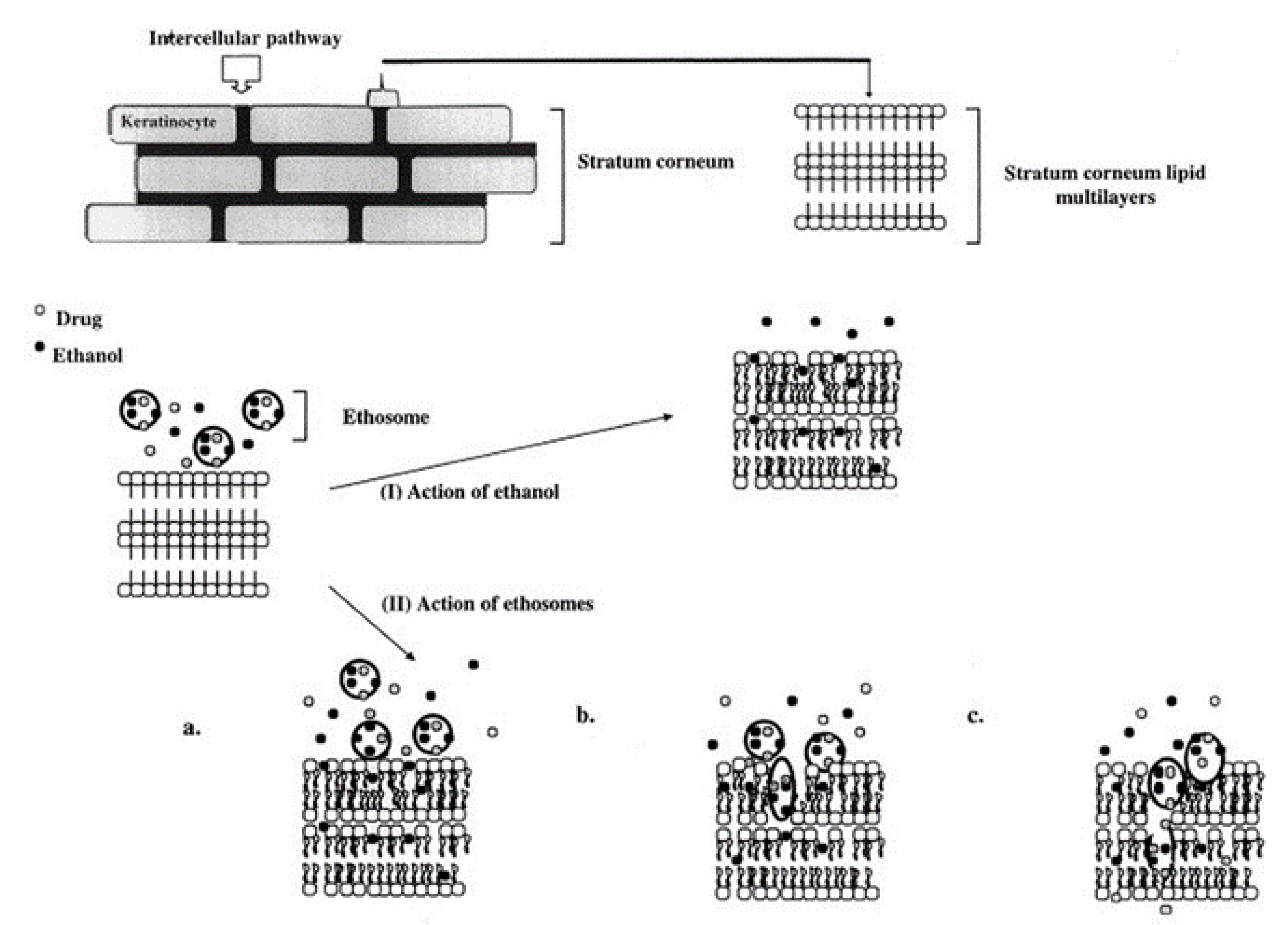 Molecules 25 02959 g004 Molecules 25 02959 g004