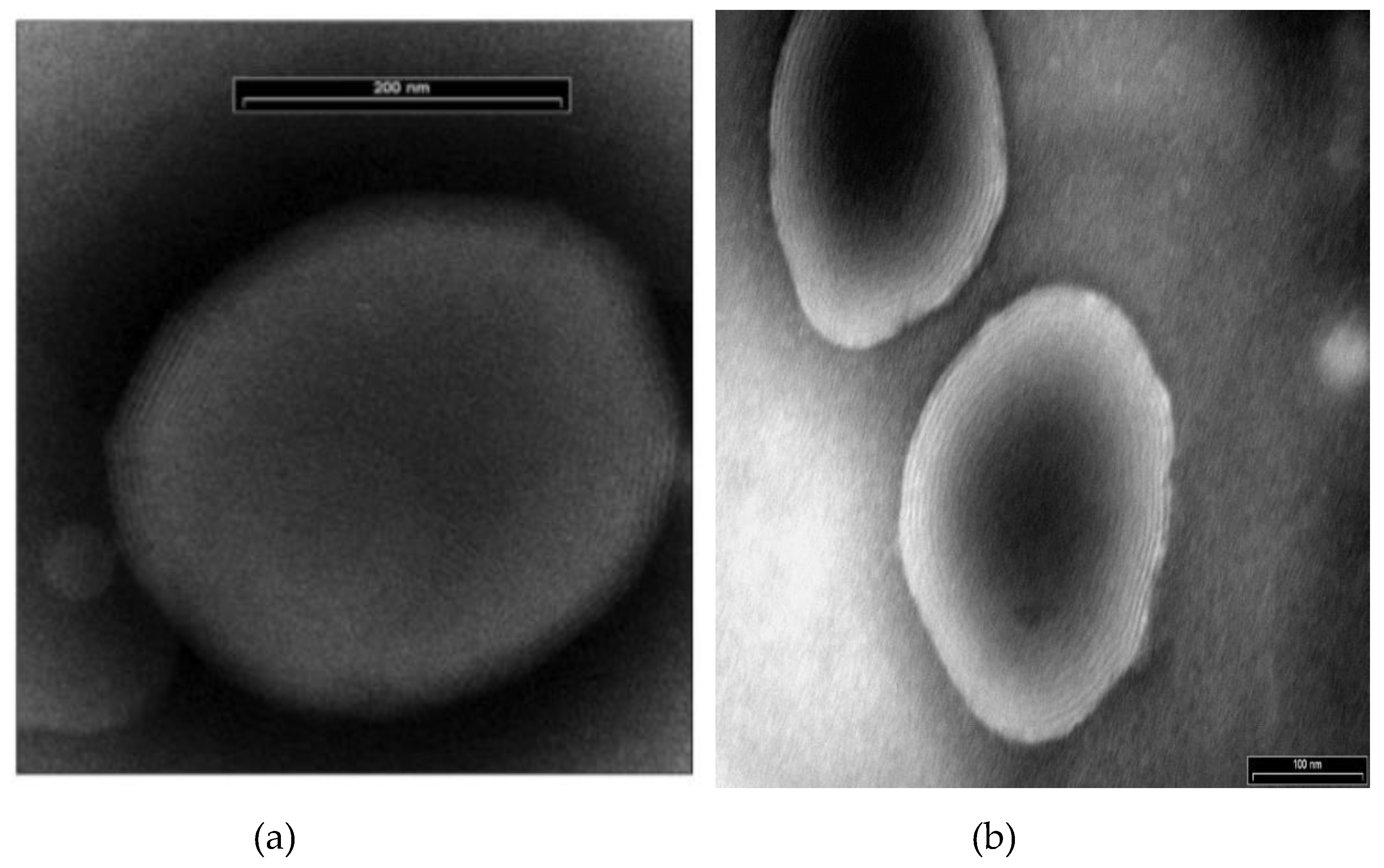 Molecules 25 02959 g007 Molecules 25 02959 g007