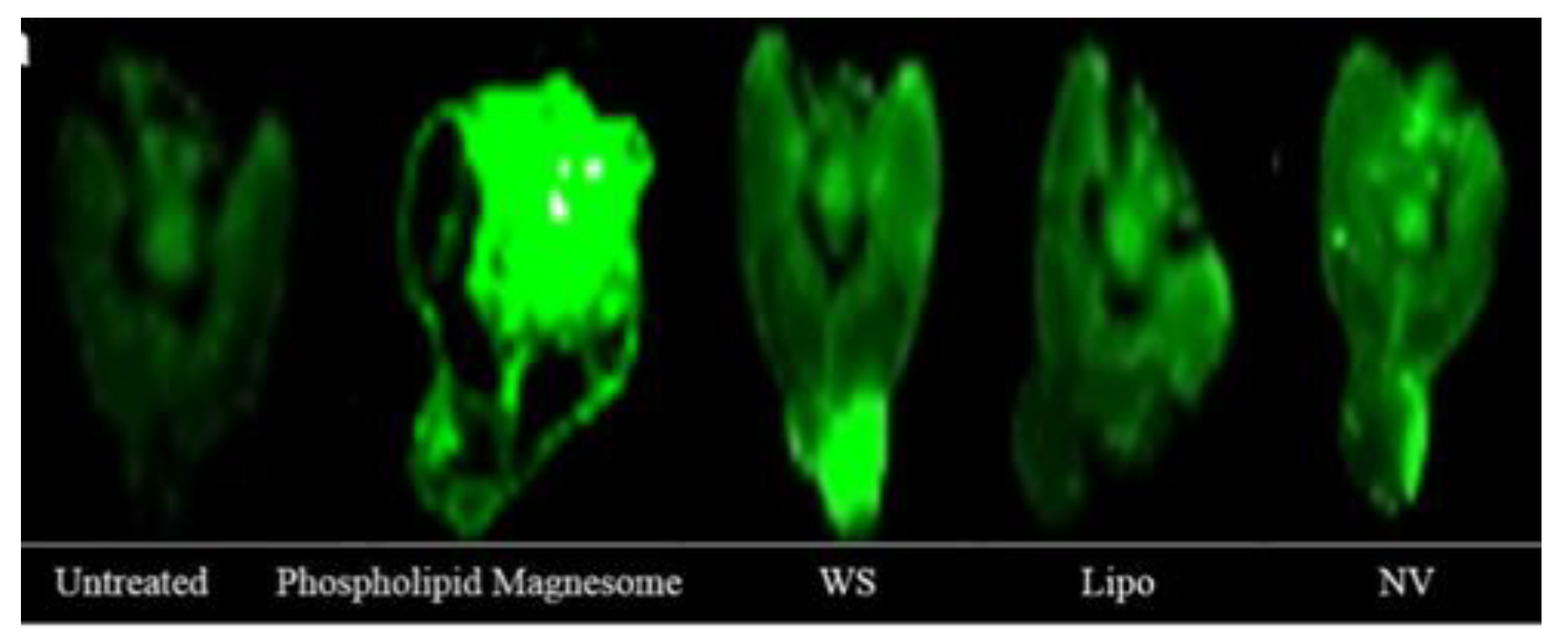 Molecules 25 02959 g008 Molecules 25 02959 g008