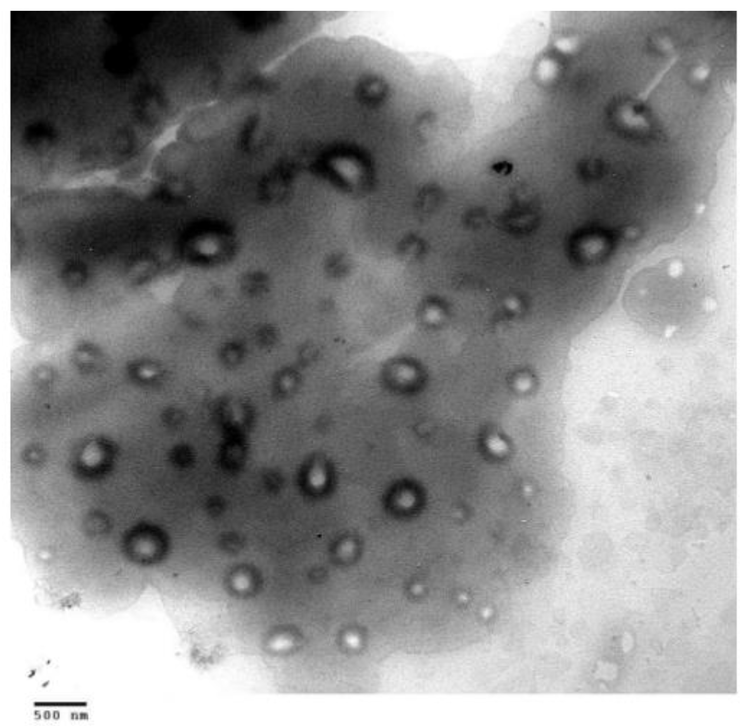 Molecules 25 02959 g009 Molecules 25 02959 g009