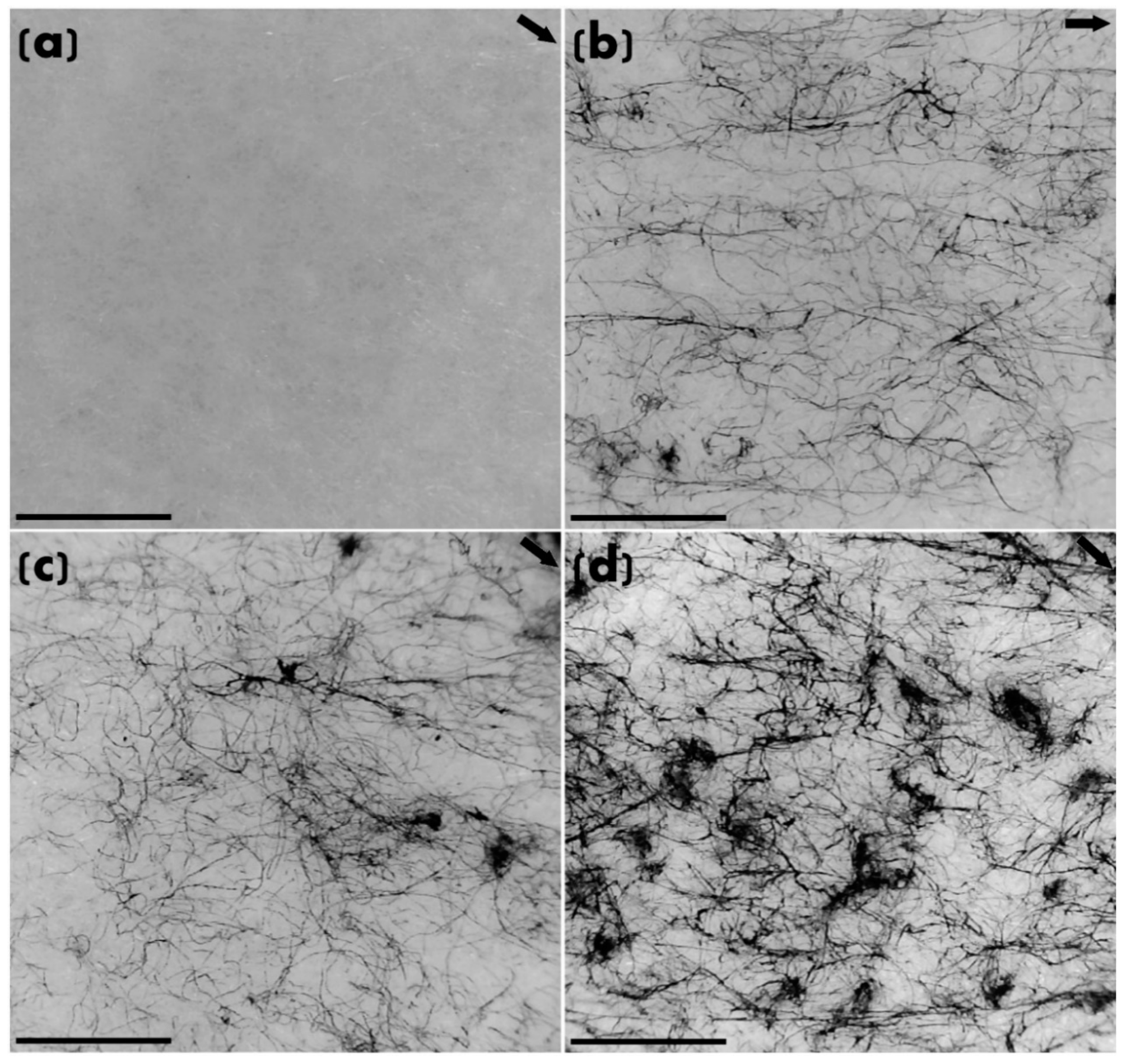 Molecules 25 02960 g002 Molecules 25 02960 g002