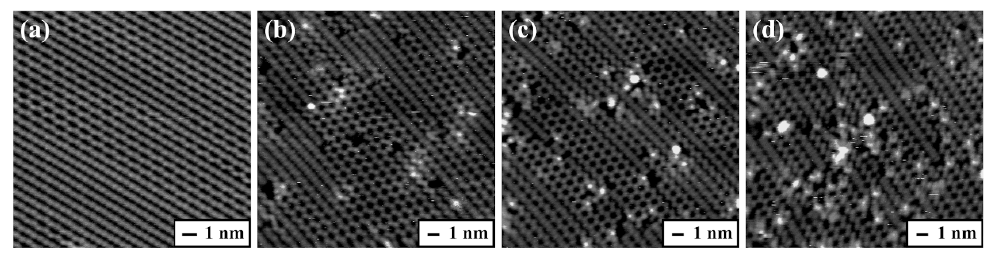 Molecules 25 02962 g003