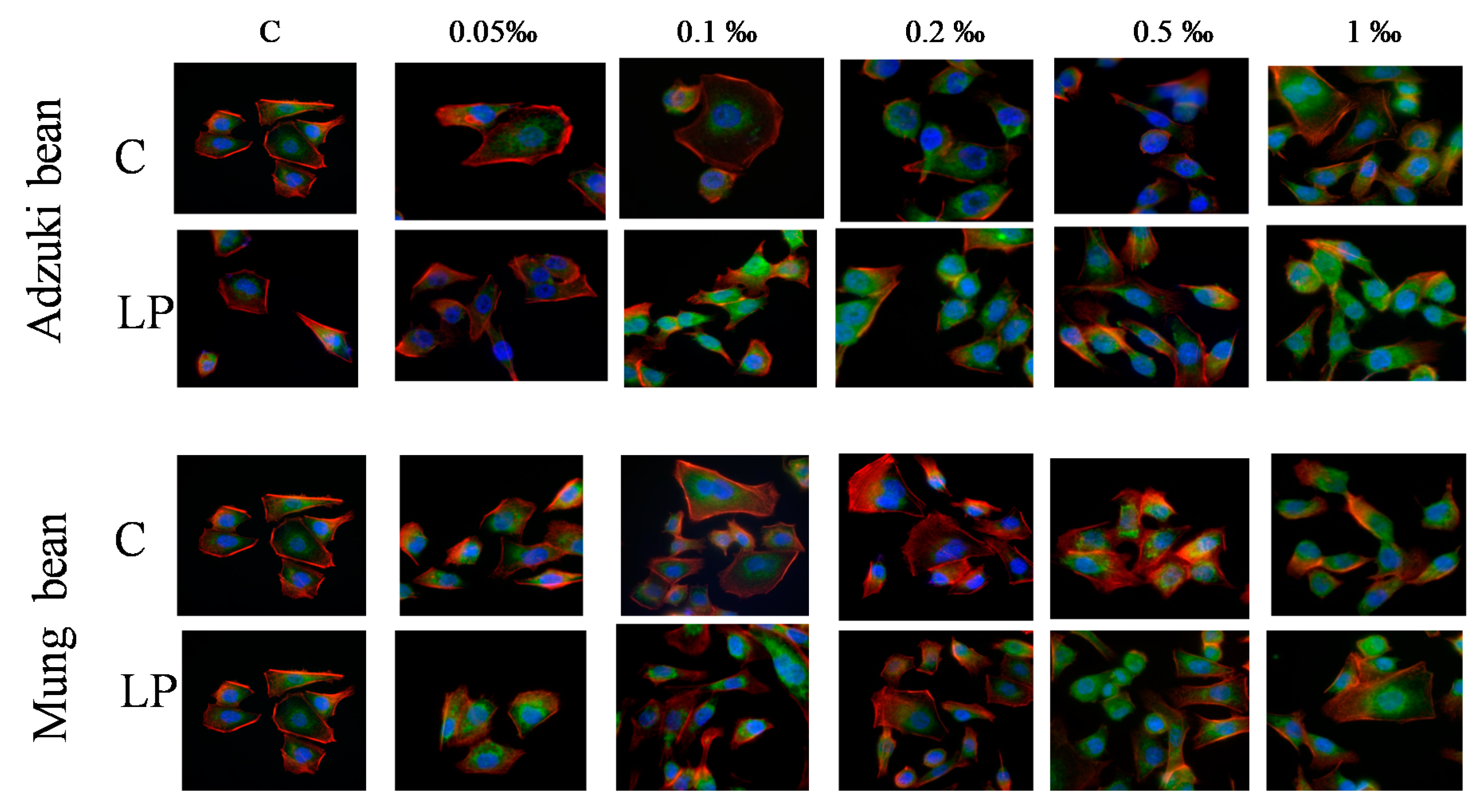 Molecules 25 02963 g004