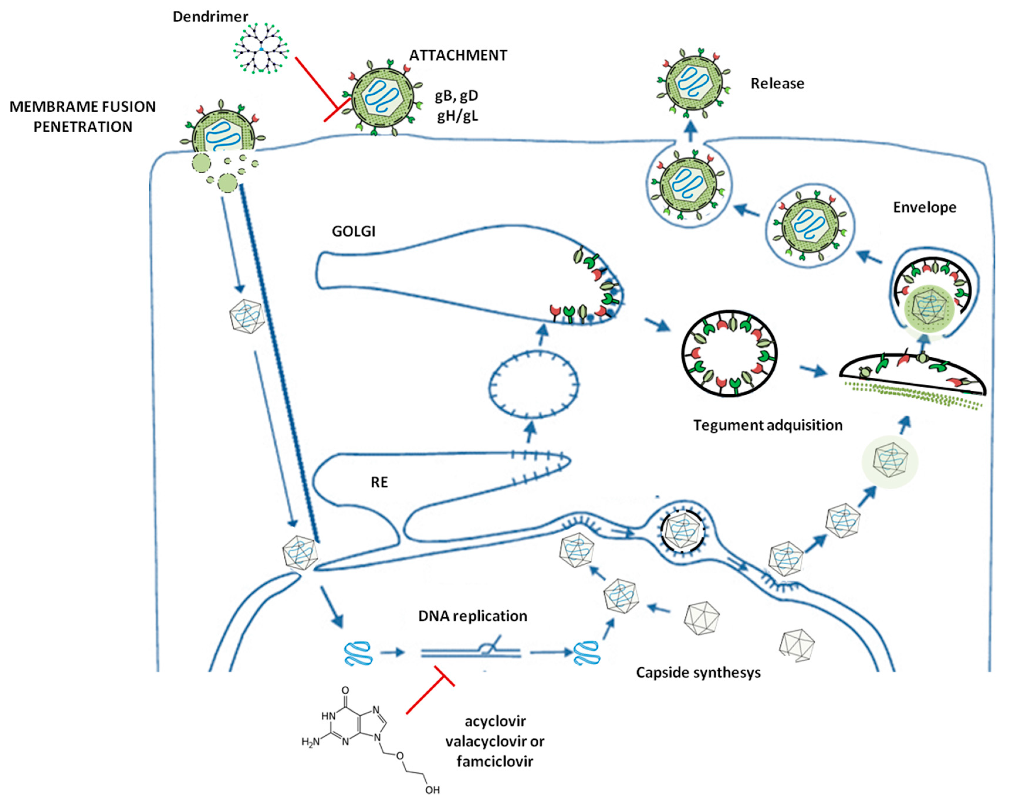 Molecules 25 02965 g001