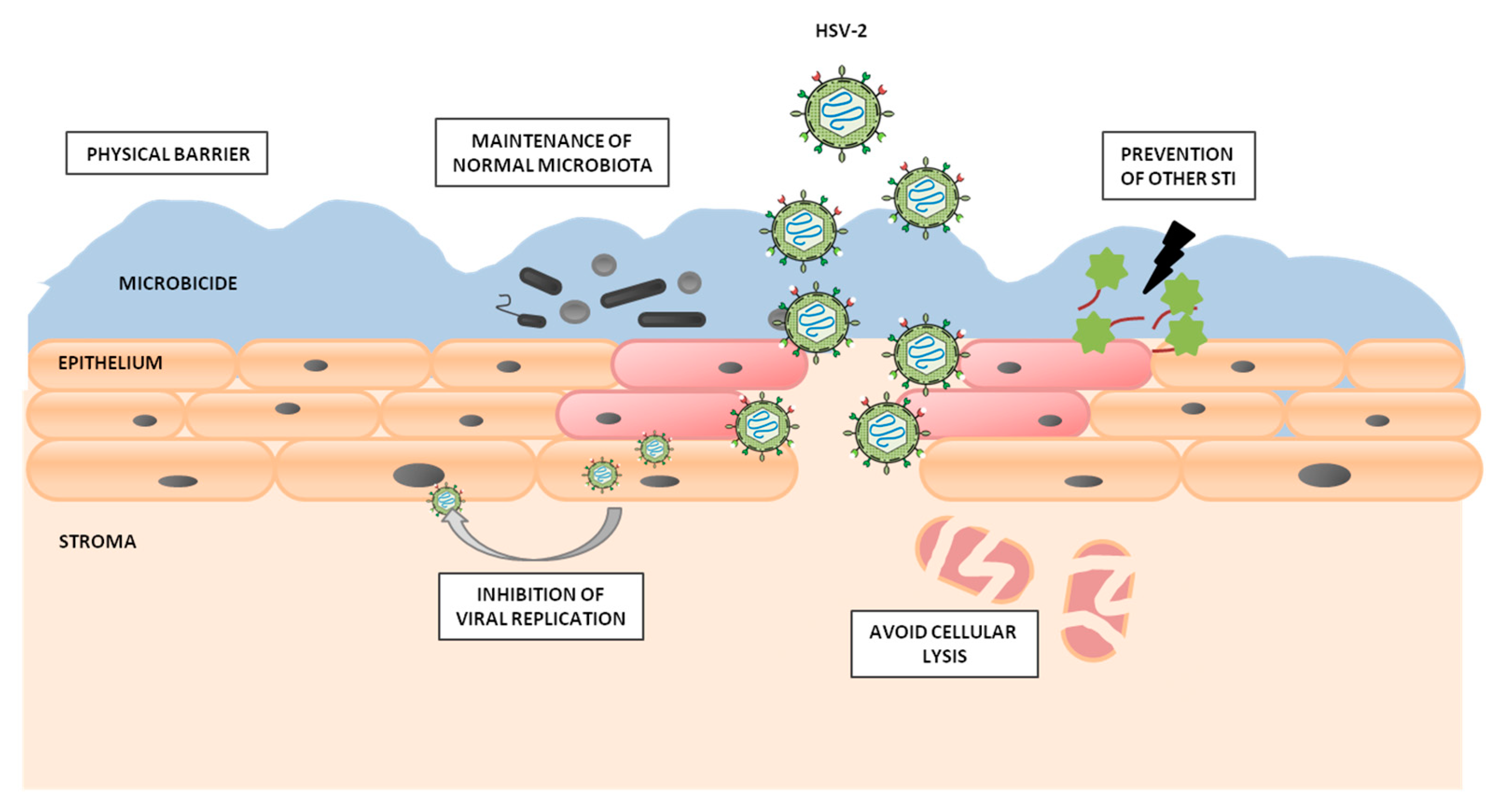 Molecules 25 02965 g003