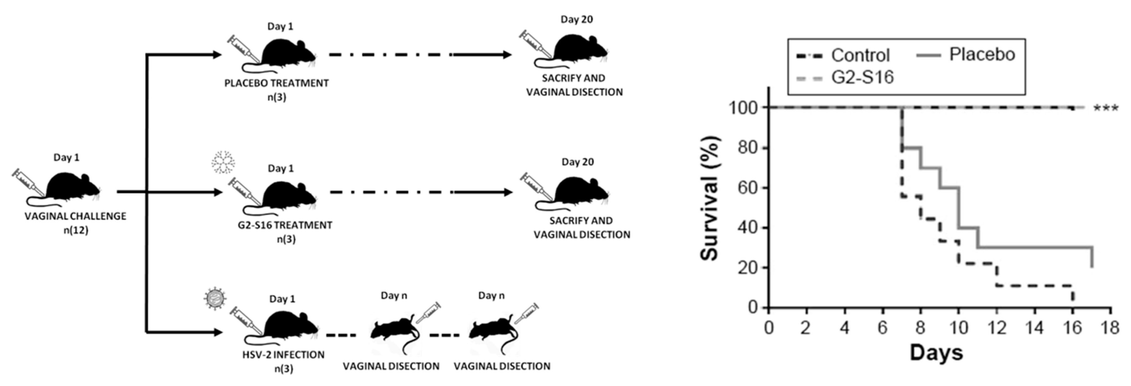 Molecules 25 02965 g005