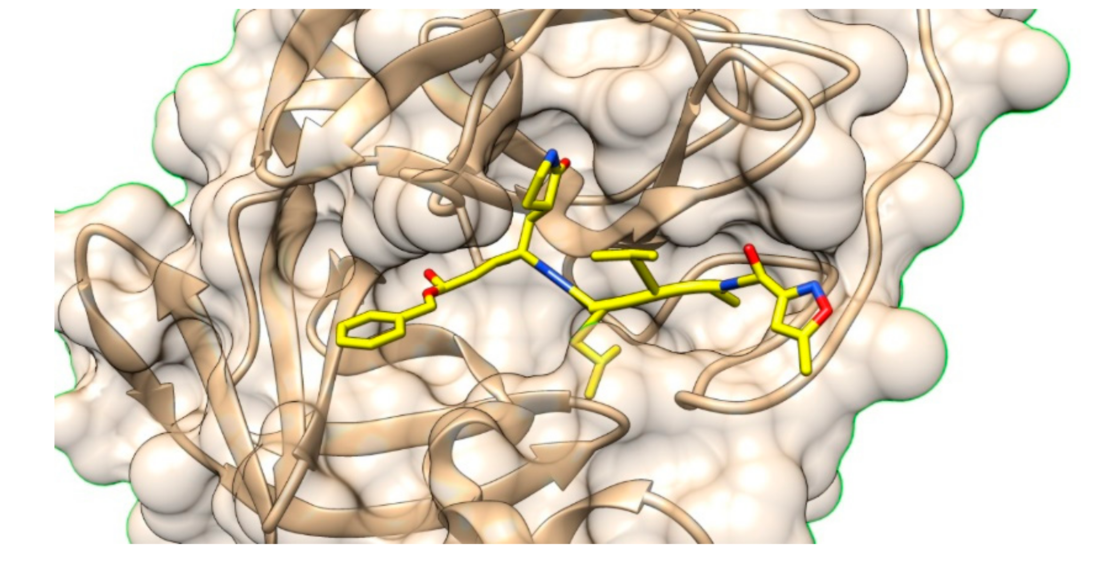 Molecules 25 02968 g008