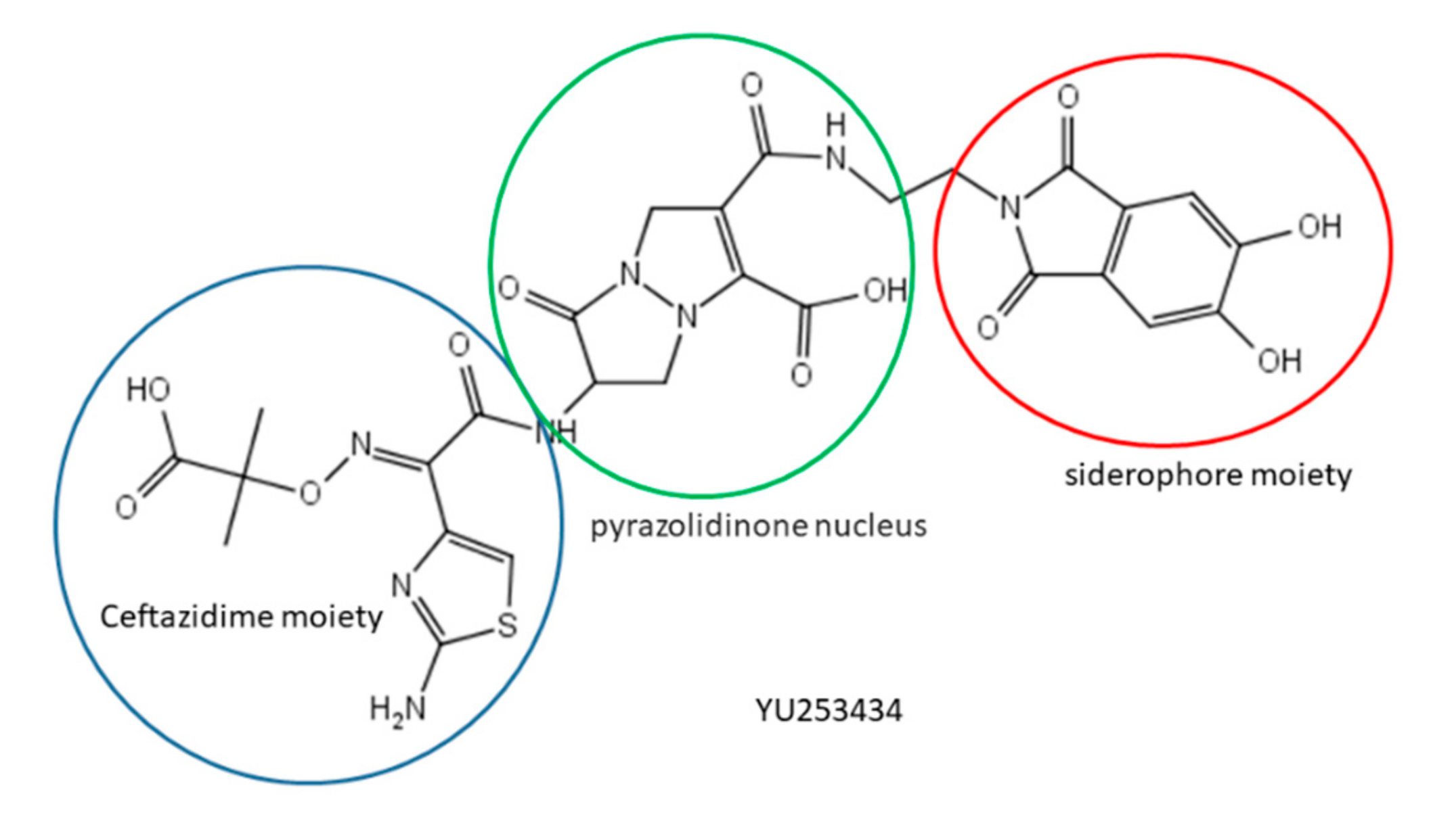 Molecules 25 02968 g010