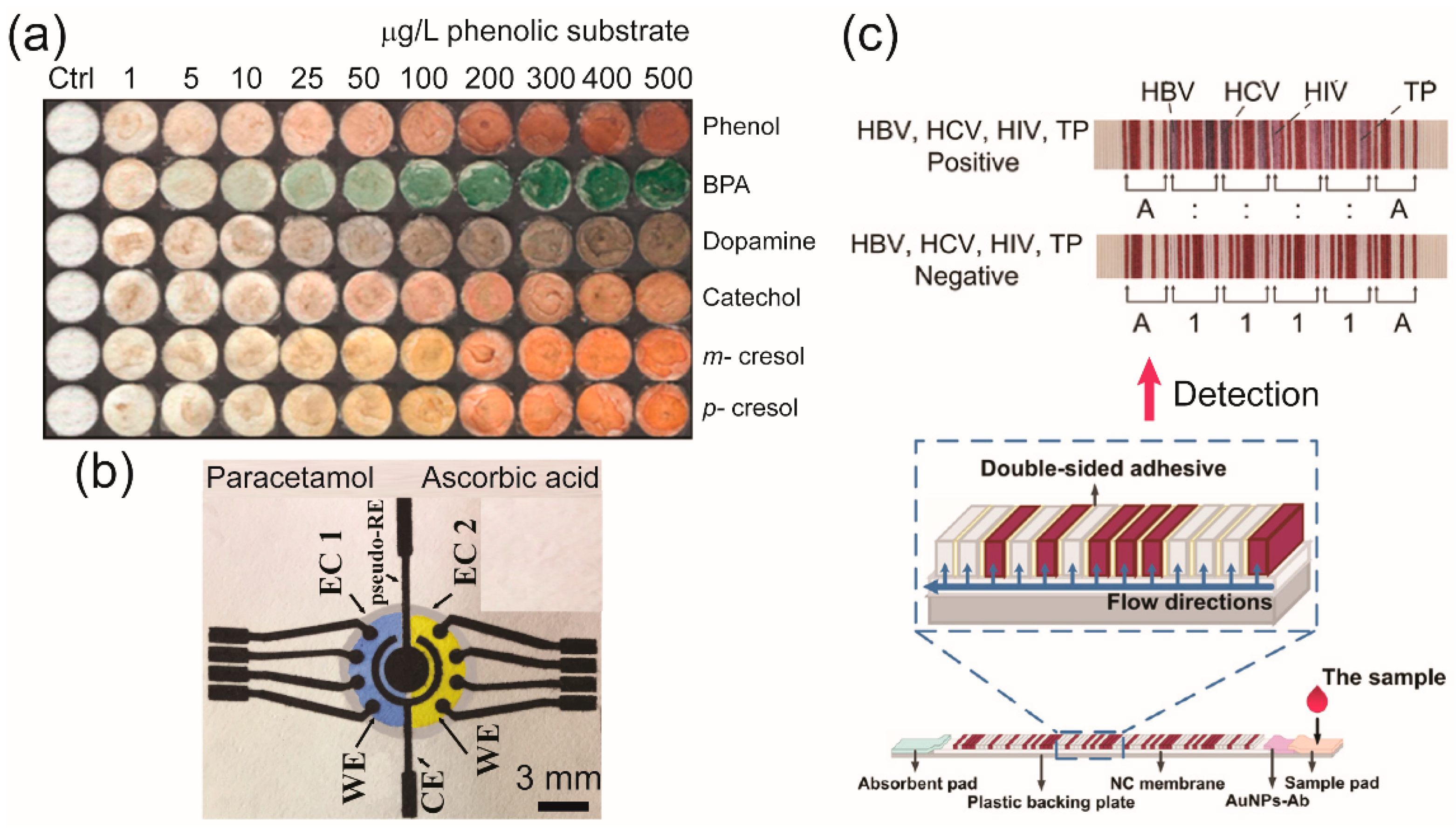 Molecules 25 02970 g001