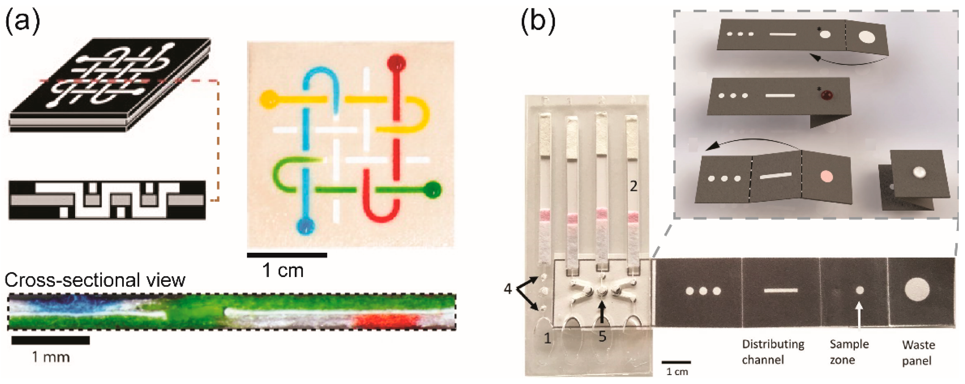 Molecules 25 02970 g002
