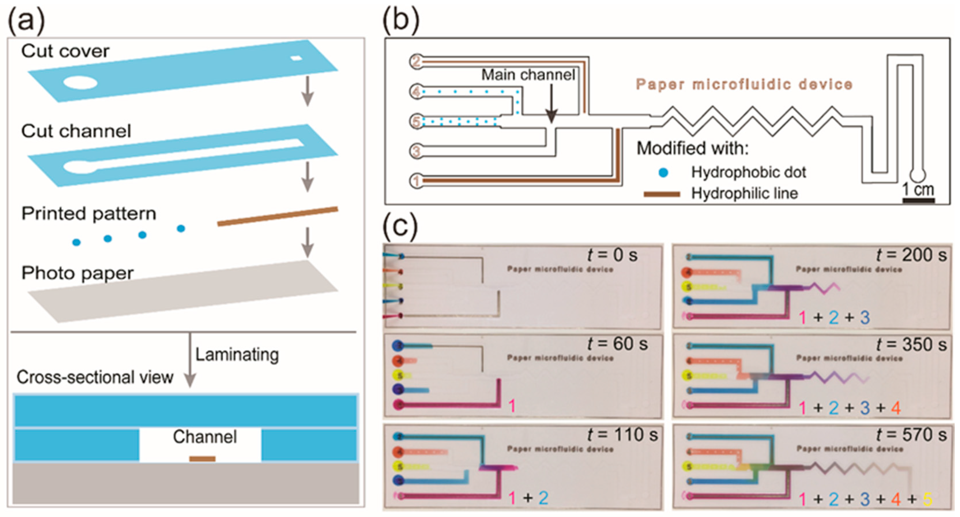 Molecules 25 02970 g003