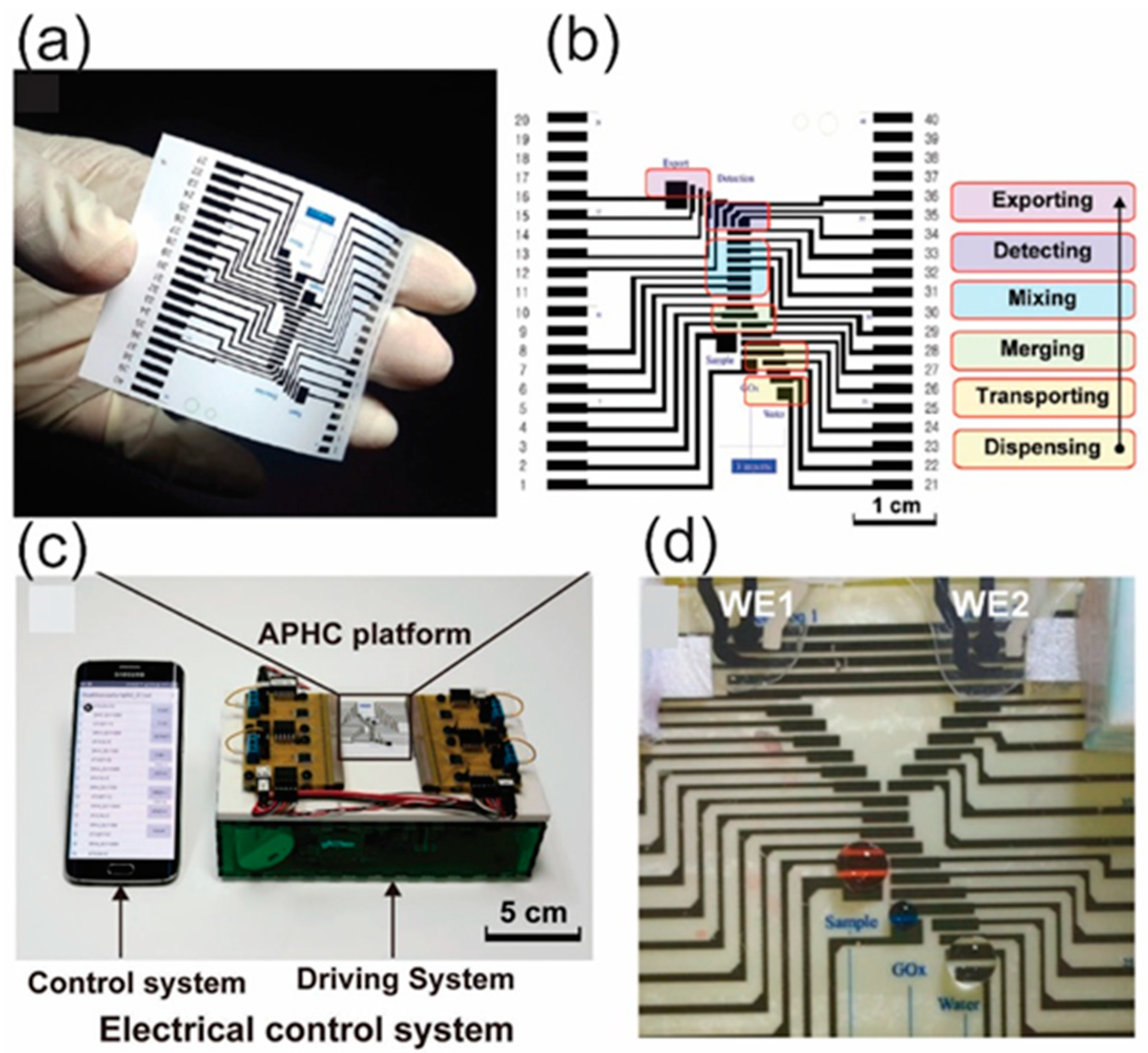 Molecules 25 02970 g004