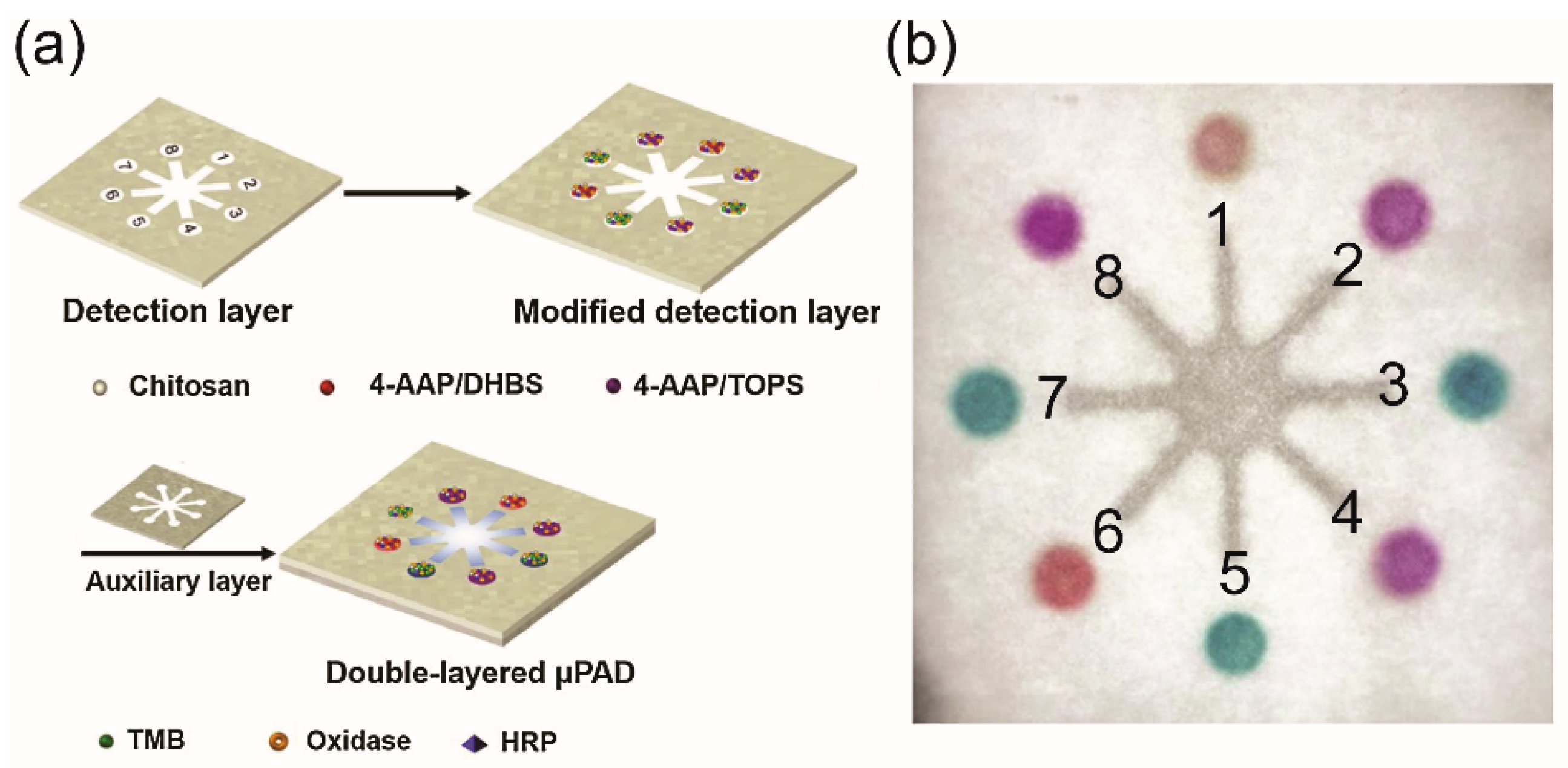 Molecules 25 02970 g005