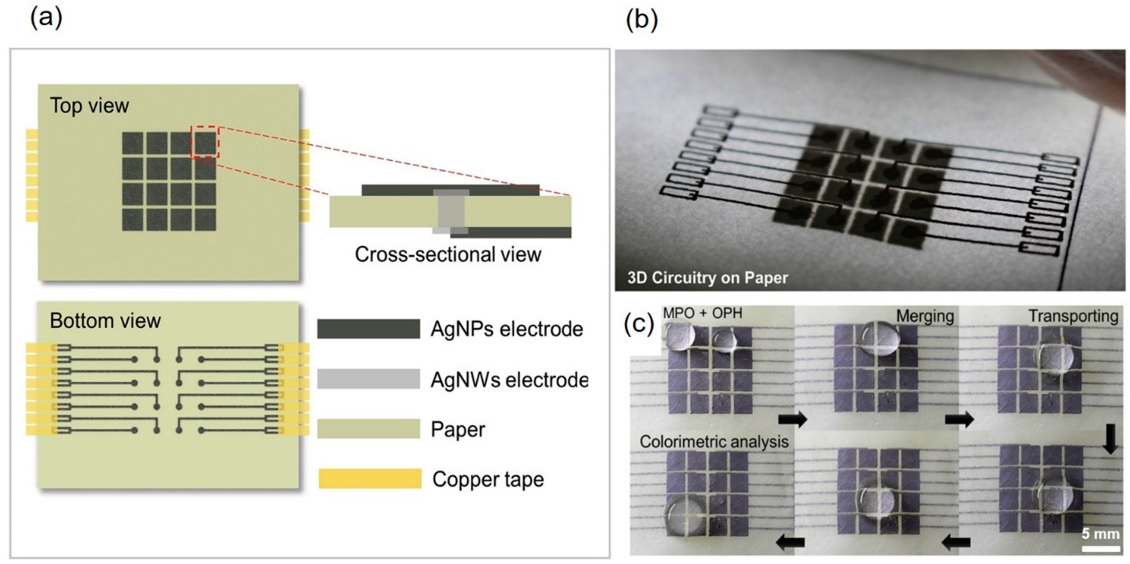 Molecules 25 02970 g006