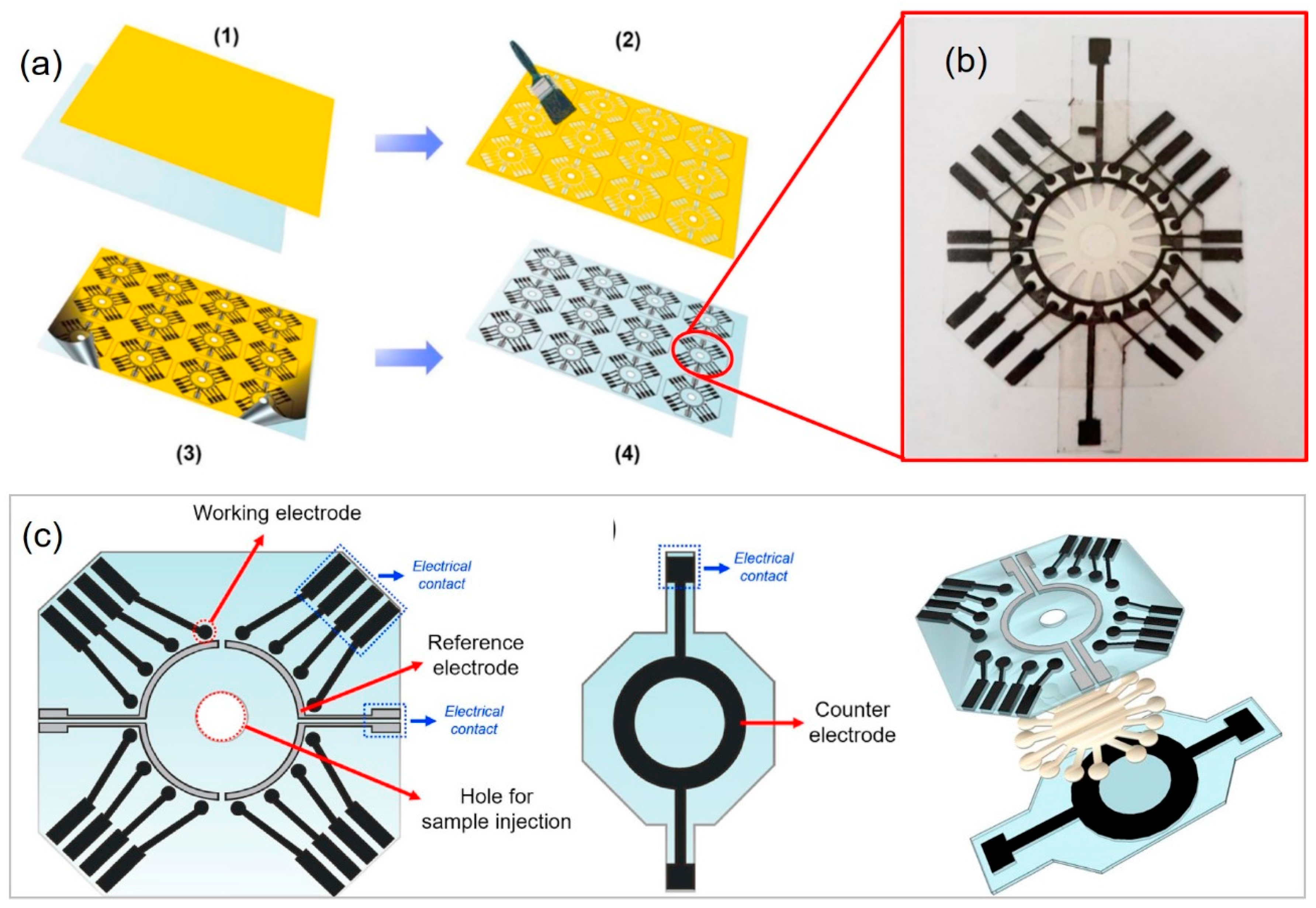 Molecules 25 02970 g007