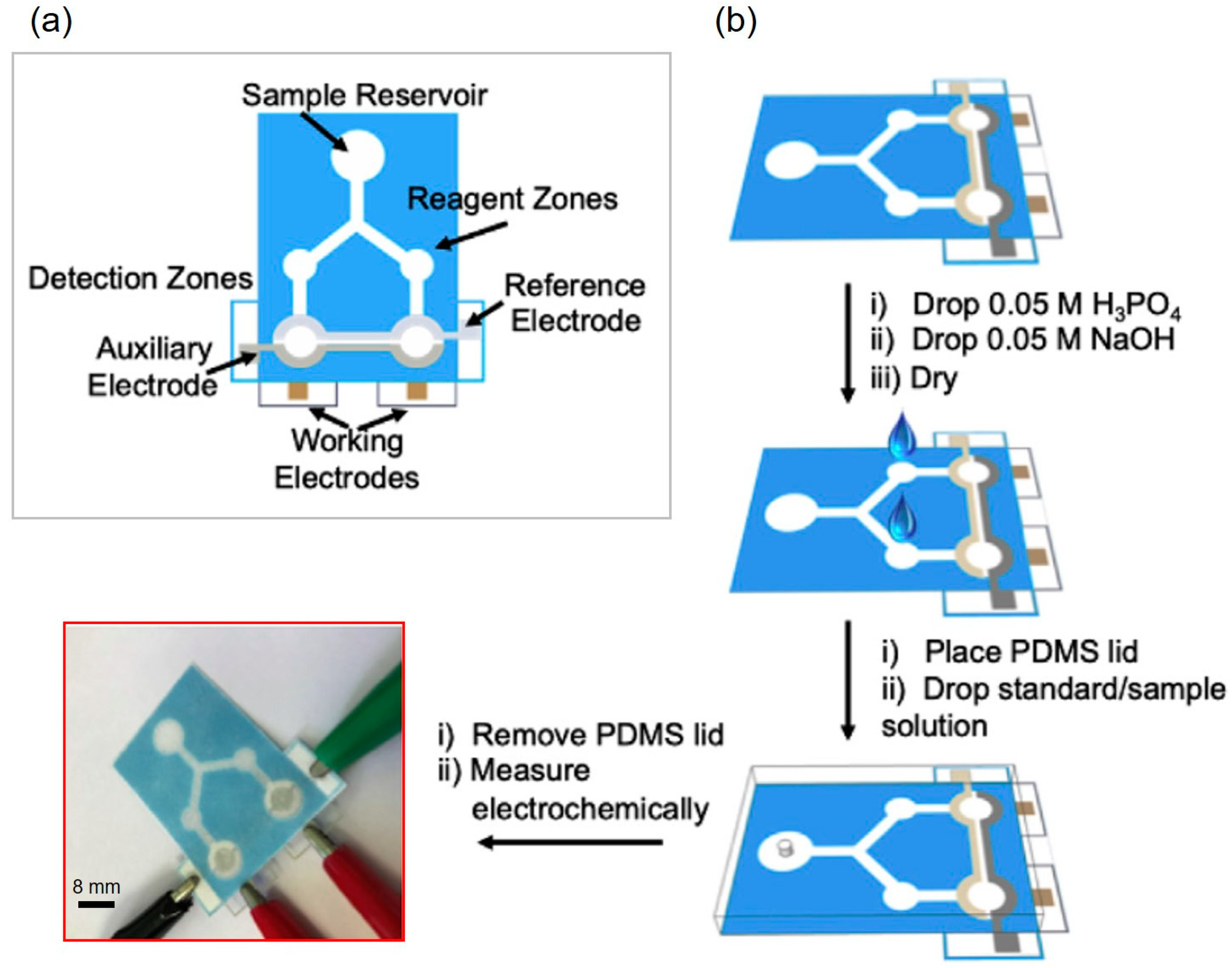 Molecules 25 02970 g008
